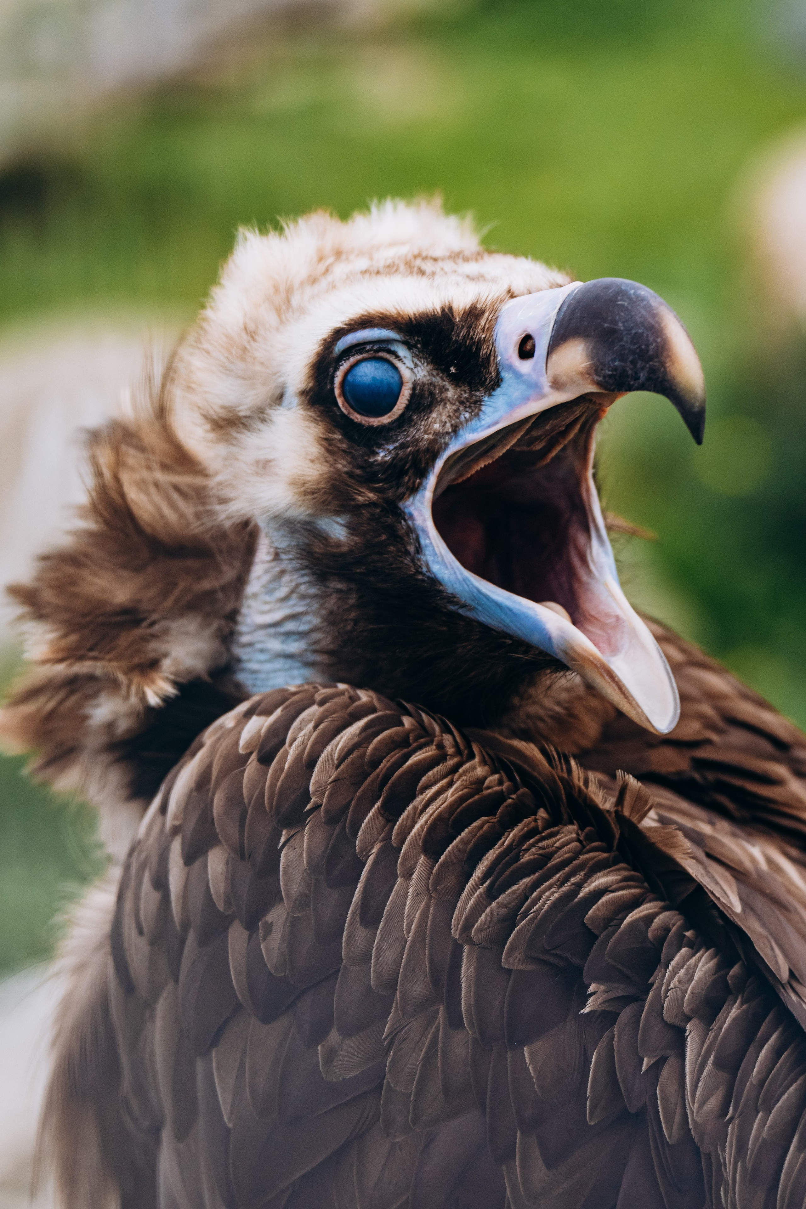 СЕВЕР. Event фотограф Степанова Александра