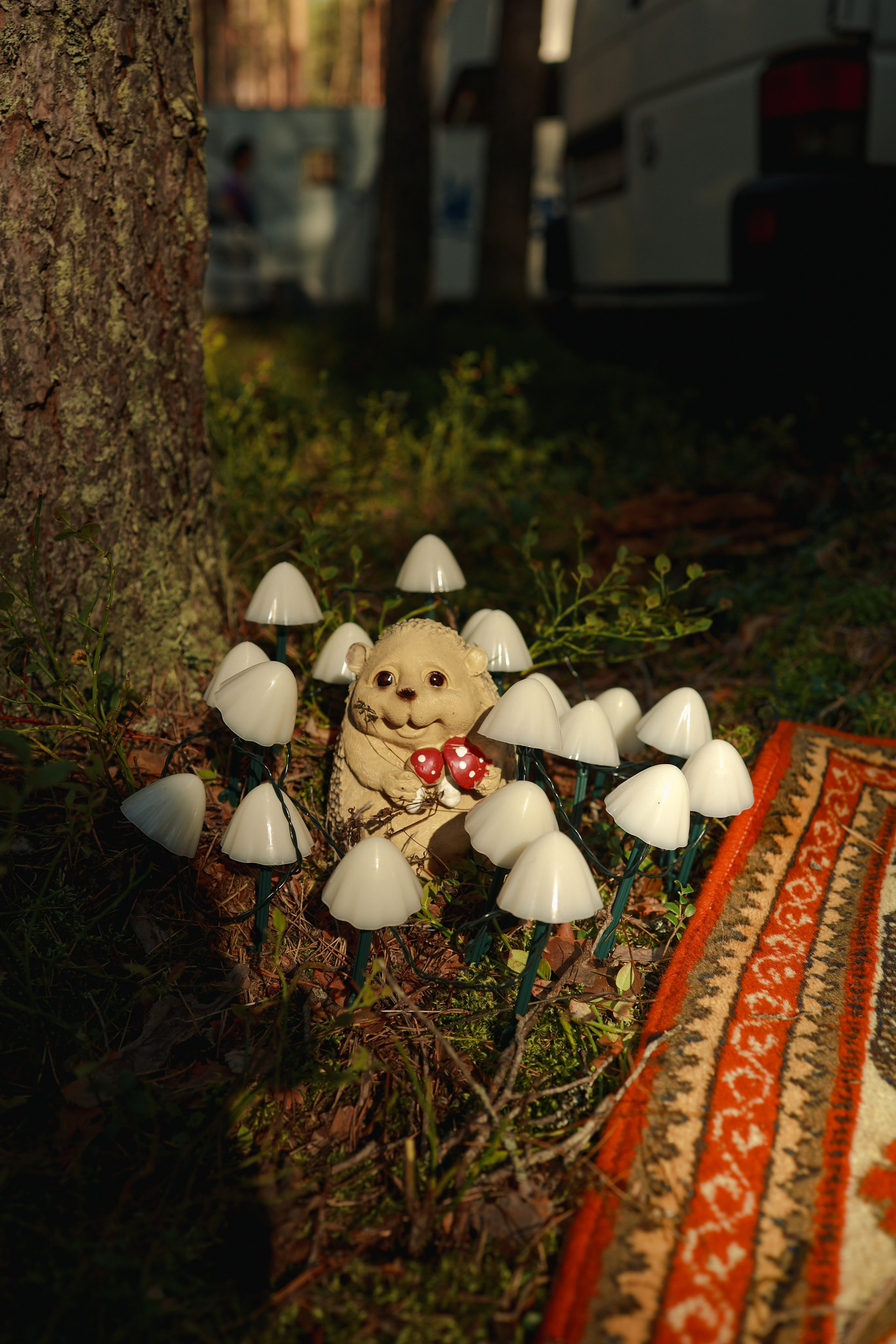 Фестиваль Hello Camper закрытие 2024. Репортажный и портретный фотограф в Санктпетербурге. Видиосъемка мероприятий в Санкт-Петербурге