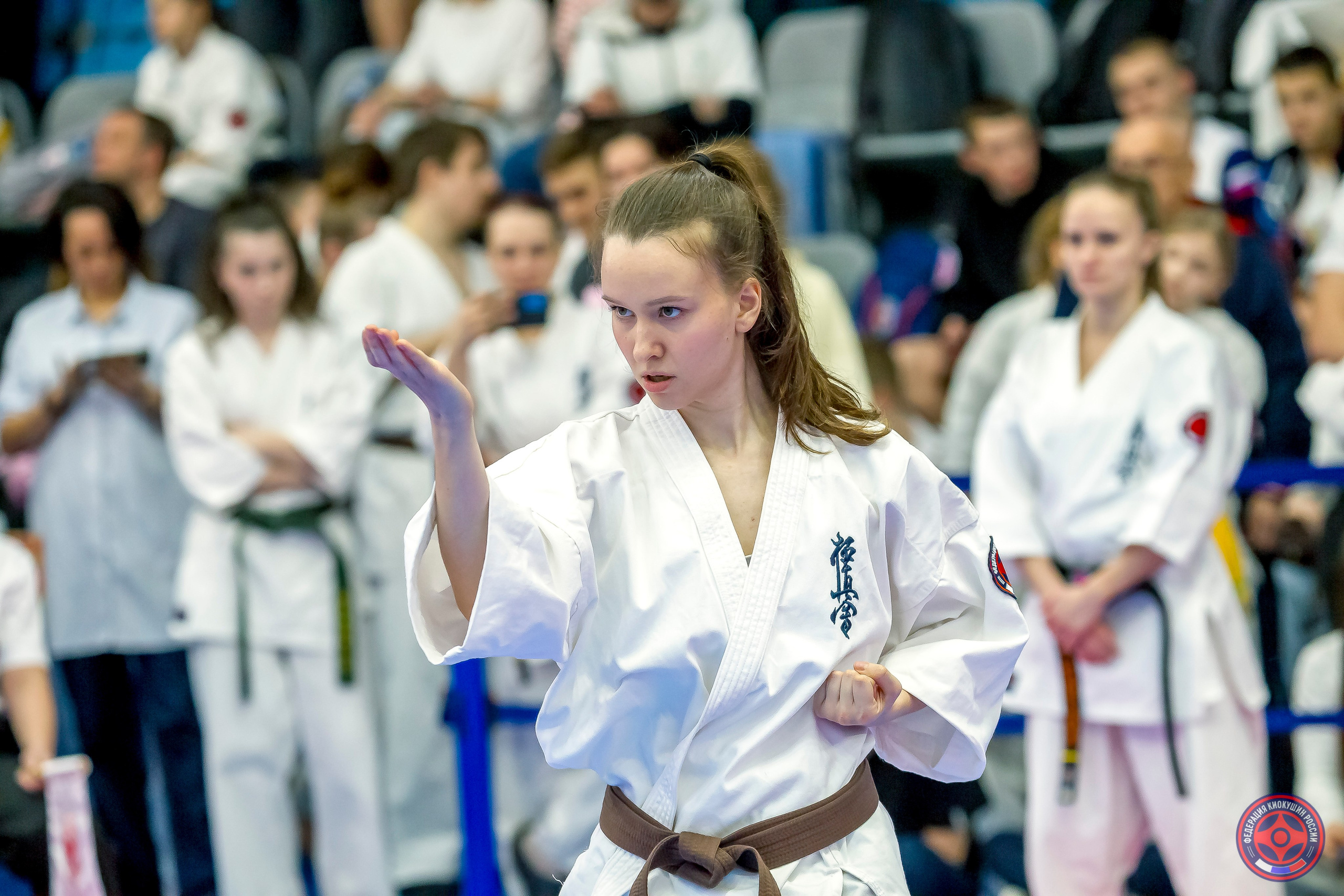 Международный турнир по киокушин «Открытый кубок Seiken». Репортажная съемка в Москве и области. Анималистика