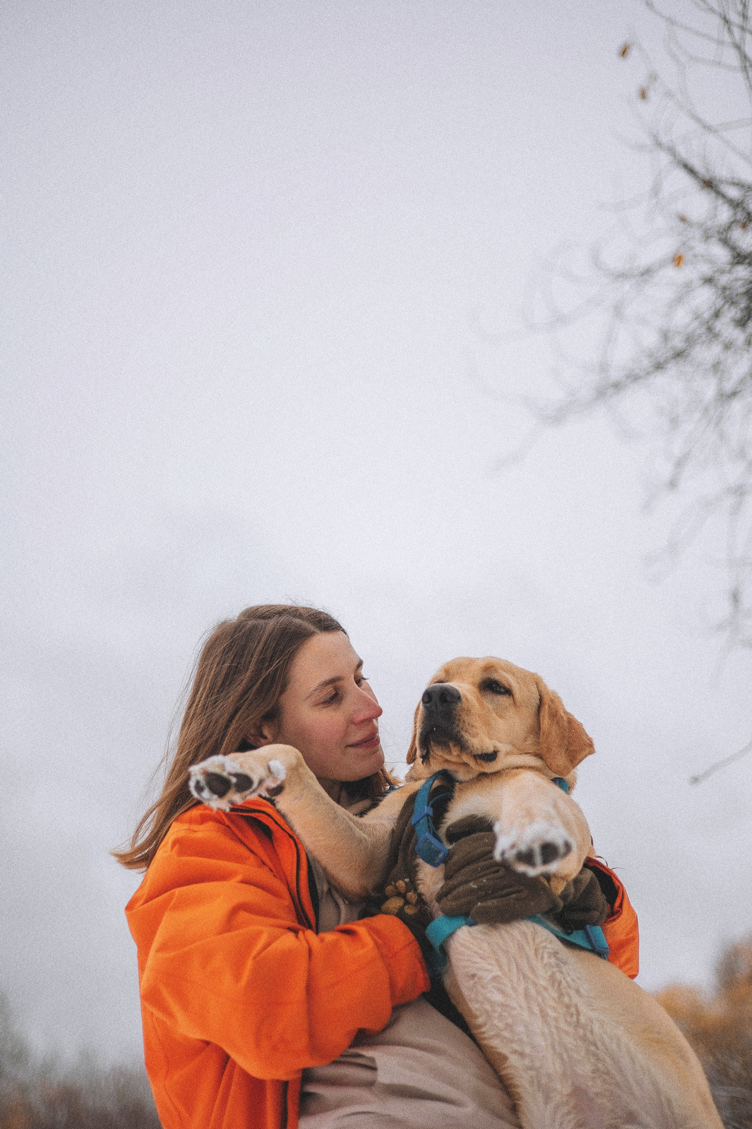 Маргарита и Варди. Фотограф-анималист Богданова Полина
