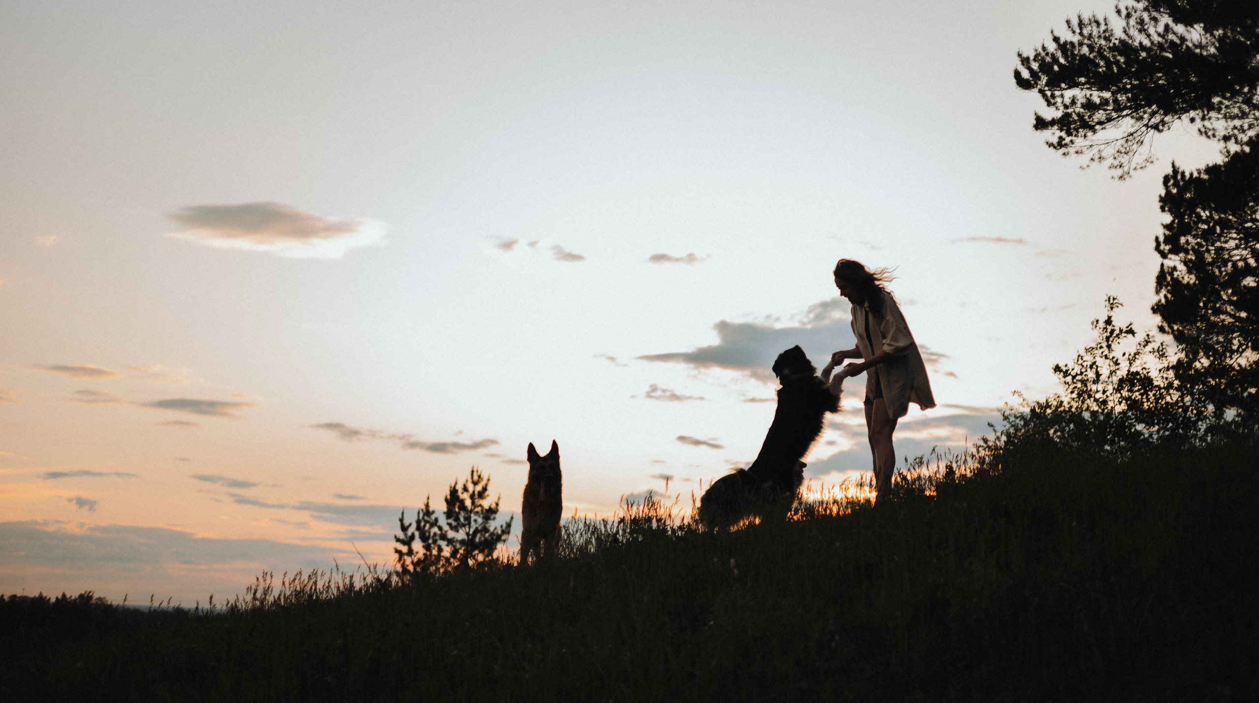 Настя, Шуня, Милка и Тигуан. Фотограф-анималист Богданова Полина
