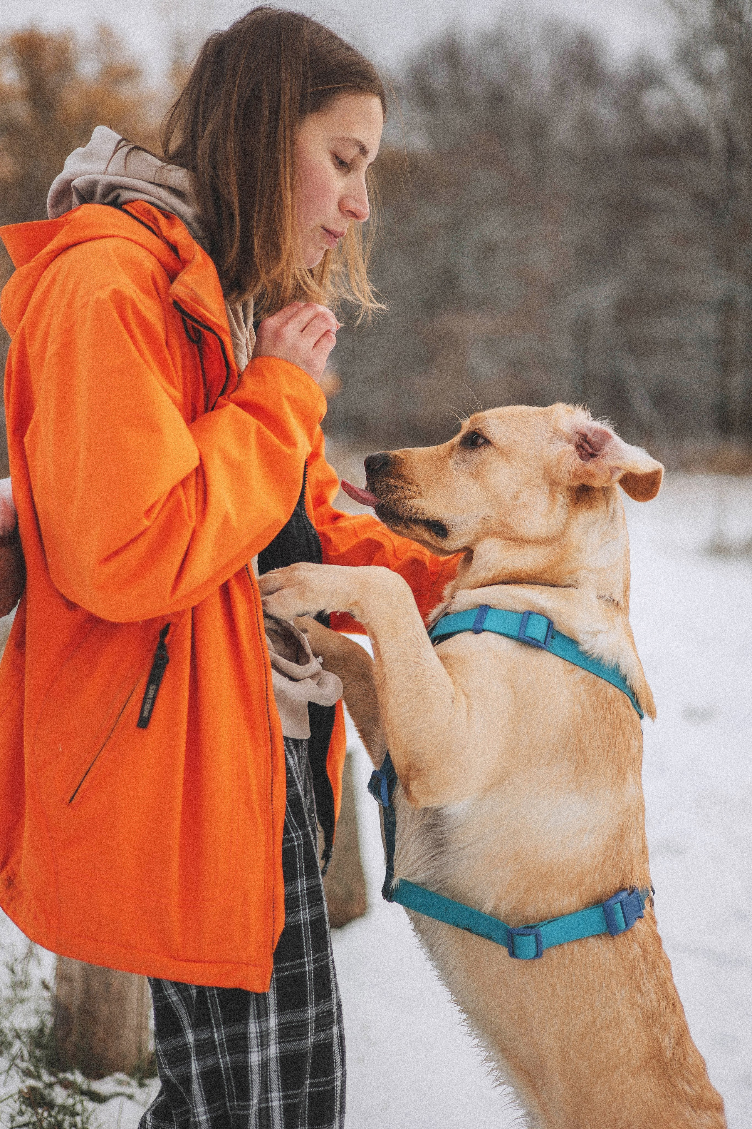 Маргарита и Варди. Фотограф-анималист Богданова Полина