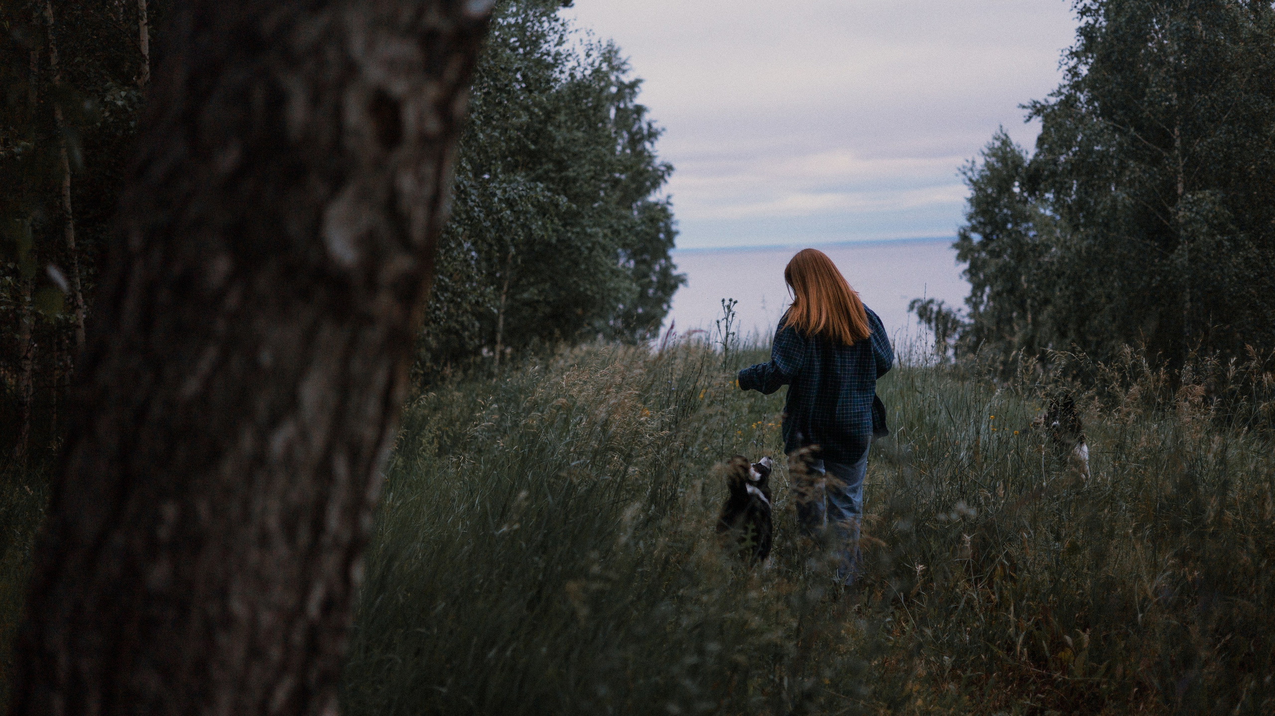 Аделя, Вандер, Шайна и Бая. Фотограф-анималист Богданова Полина
