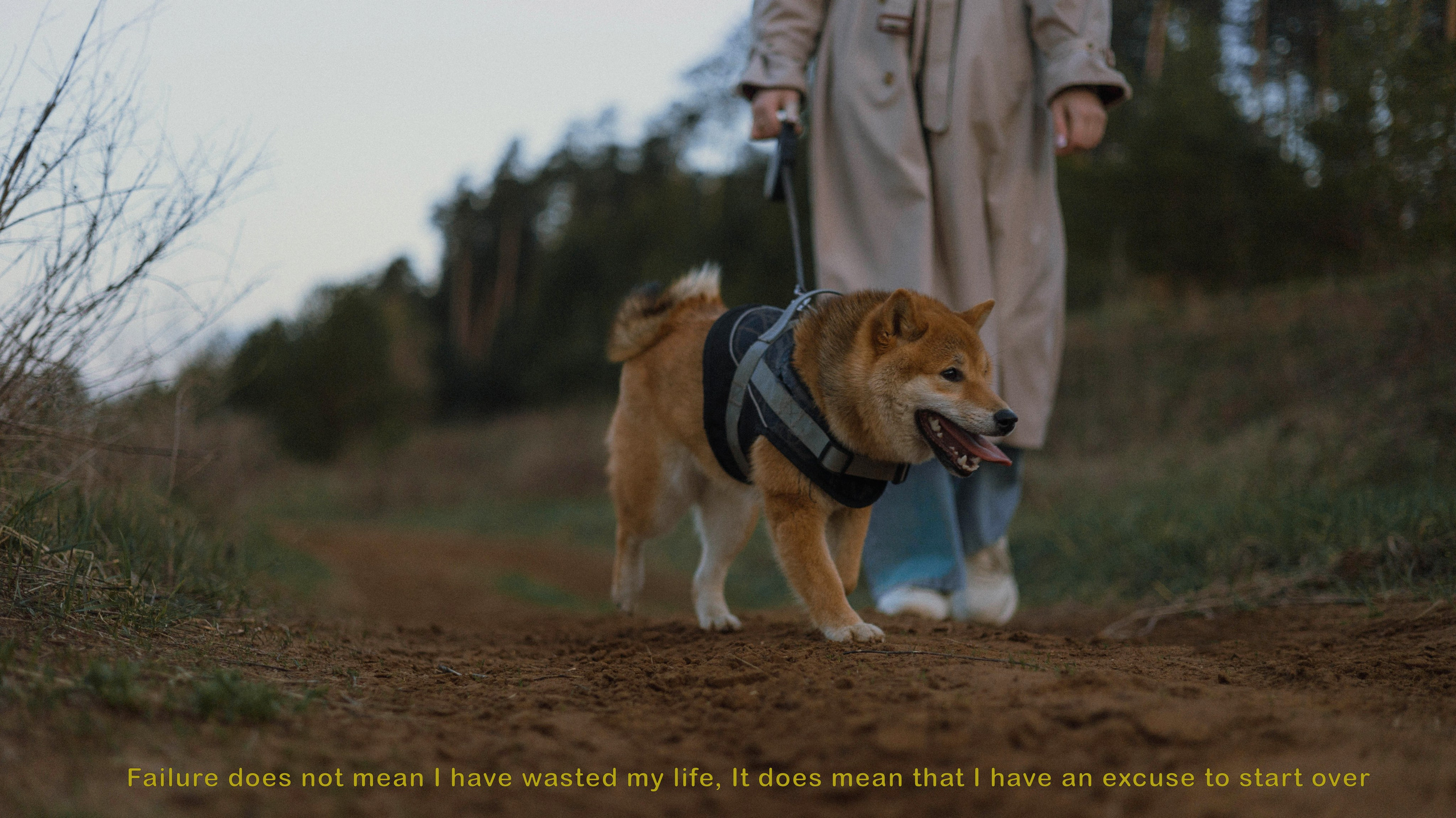 Аня и Шани. Фотограф-анималист Богданова Полина