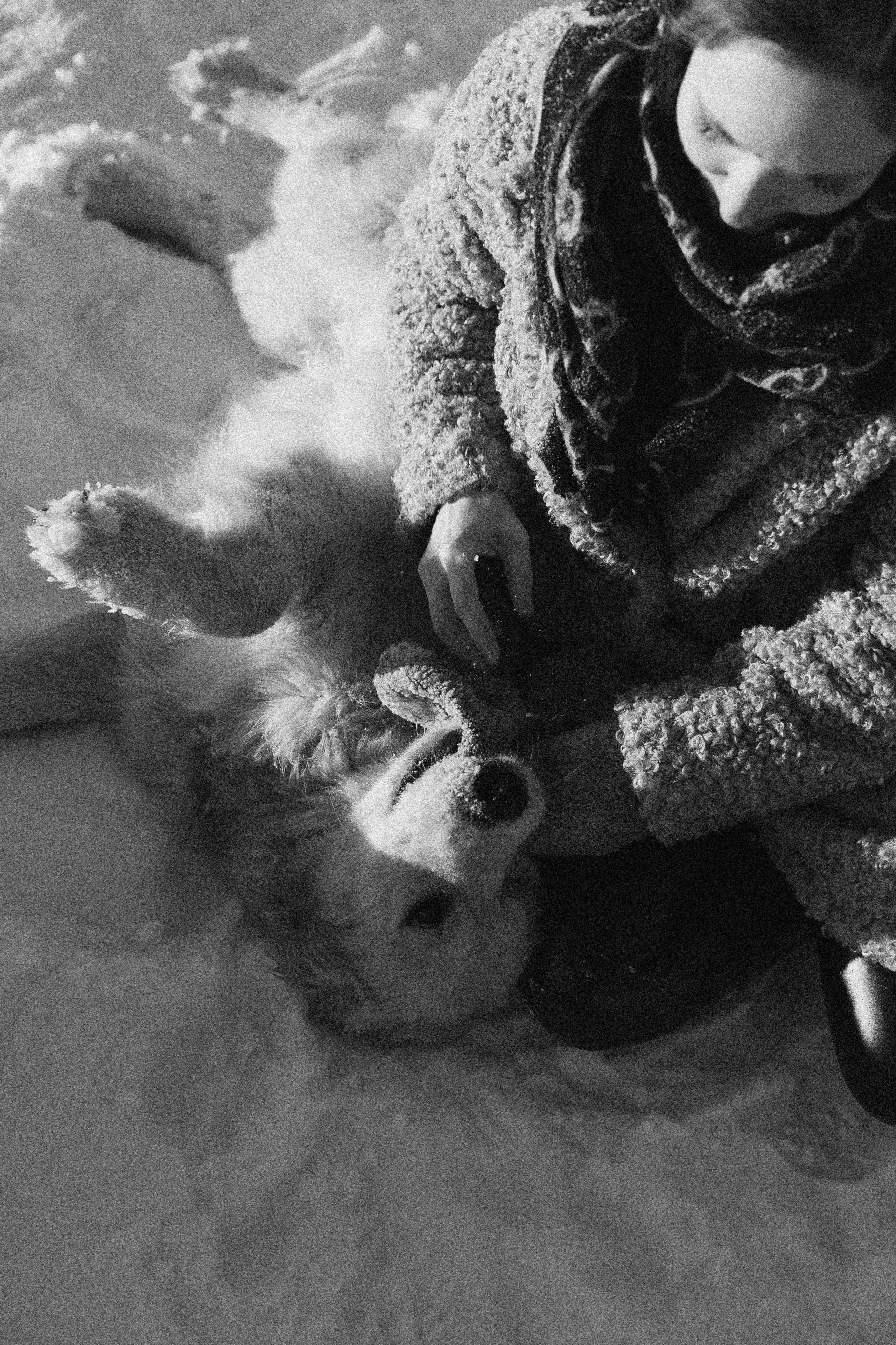 Лена и Декстер. Фотограф-анималист Богданова Полина