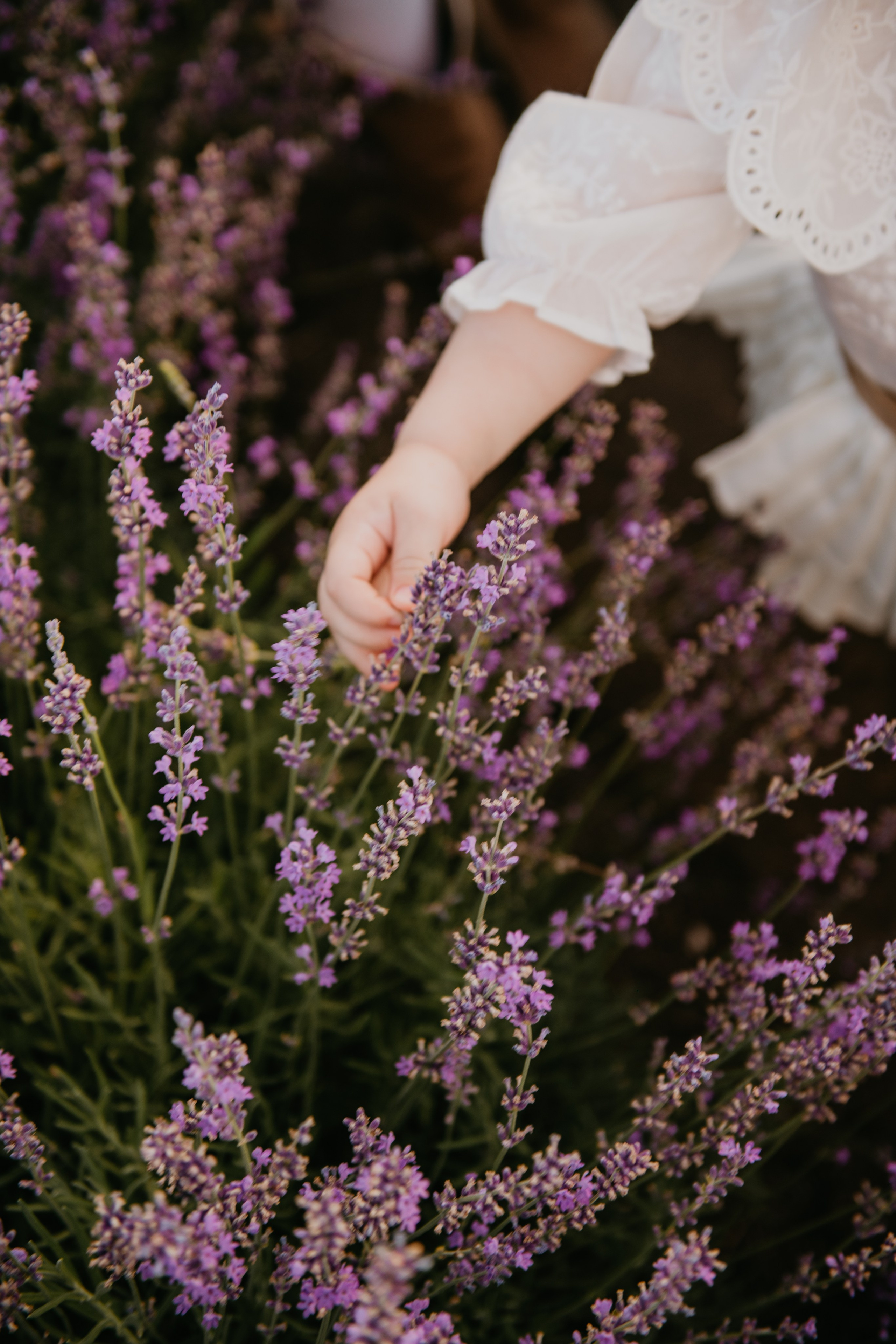 Семейные съёмки. Детский и семейный фотограф в Армавире Даша Зубкова