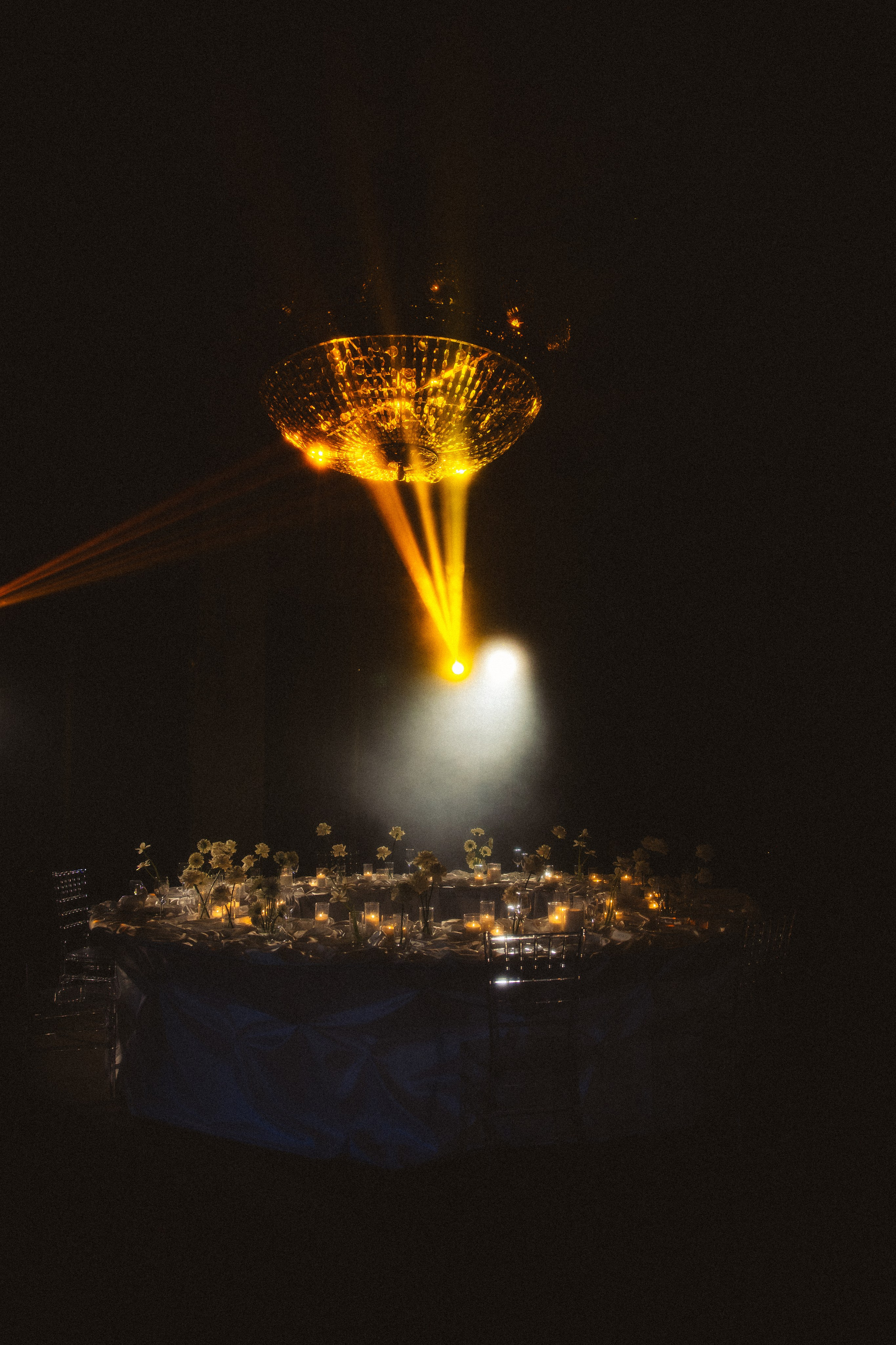 Вероника & Максим. Phdkvmr.ru