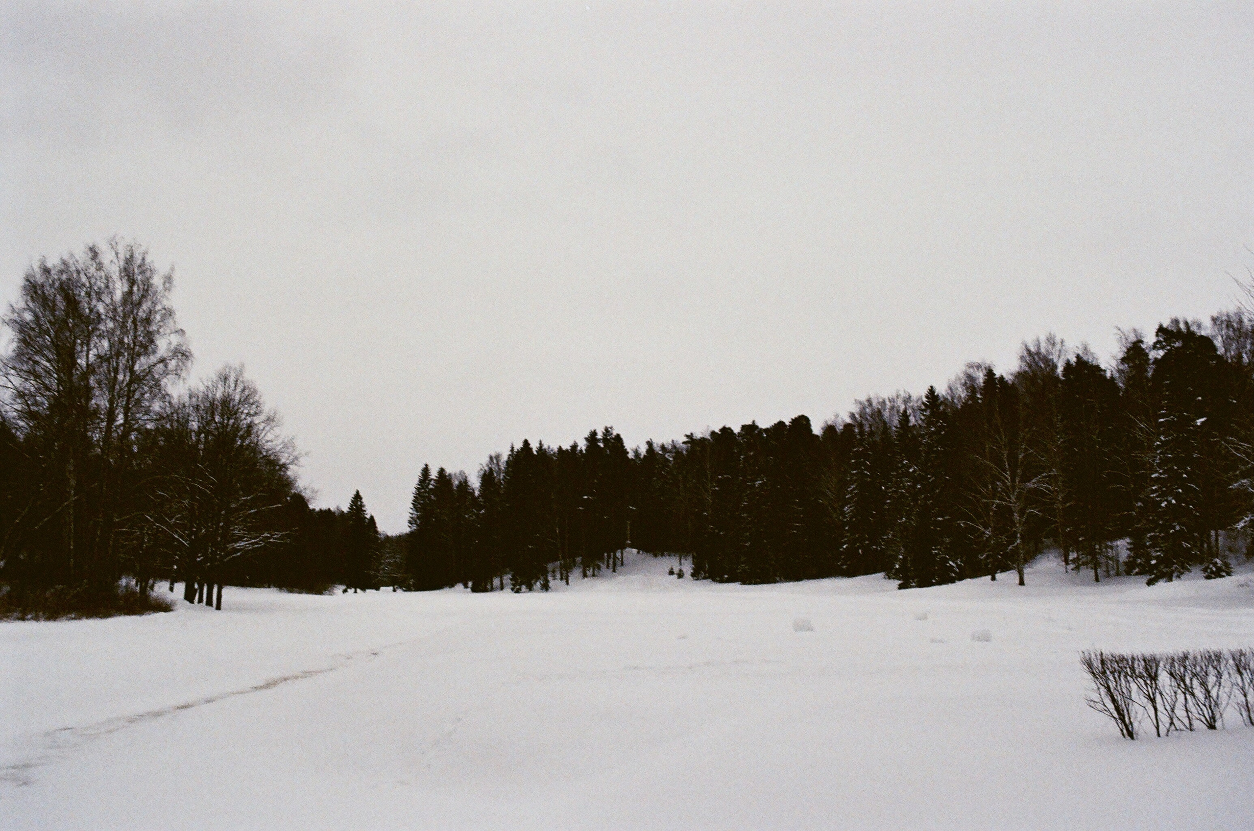 Film. Ruslan UI Dev Page