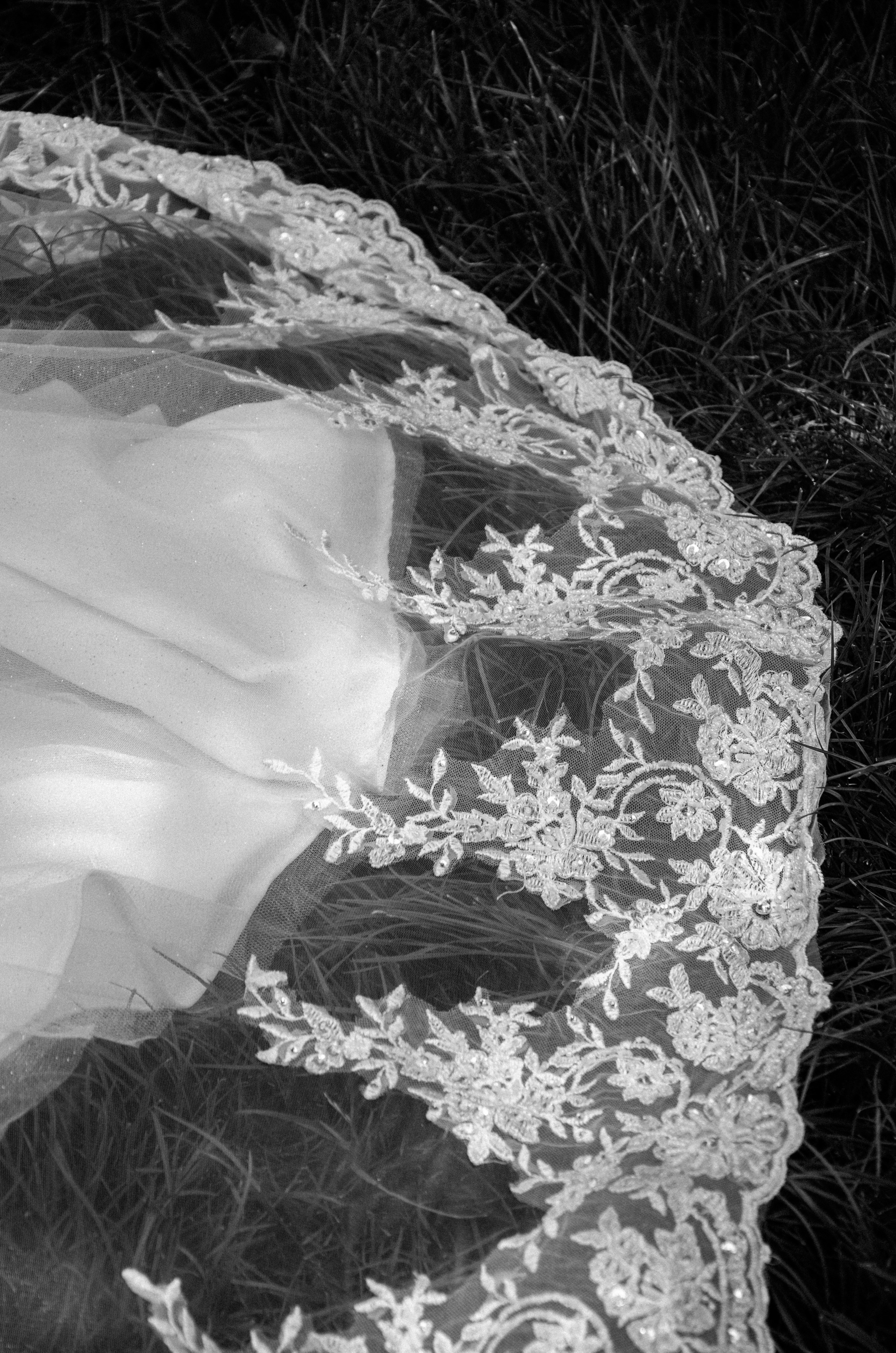 Свадебный фотограф в Волгограде и Краснодаре