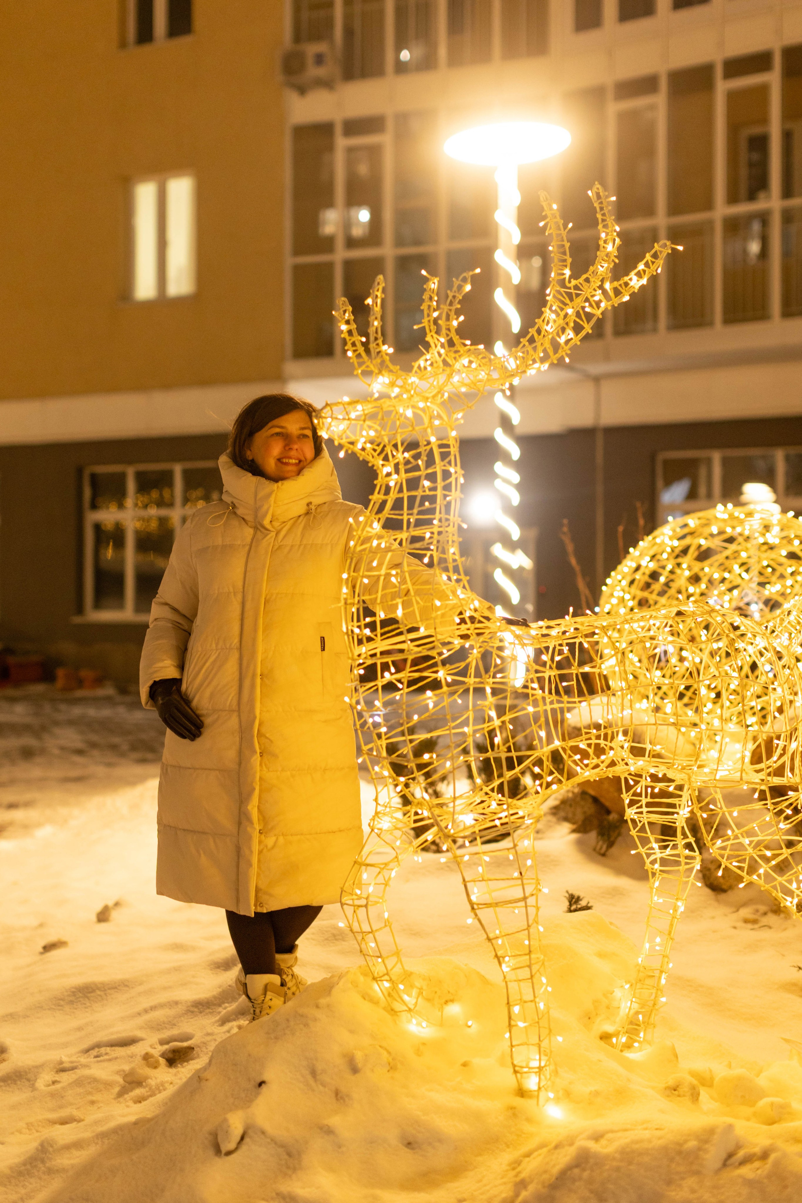 Новогодний вечер. Art my Pho