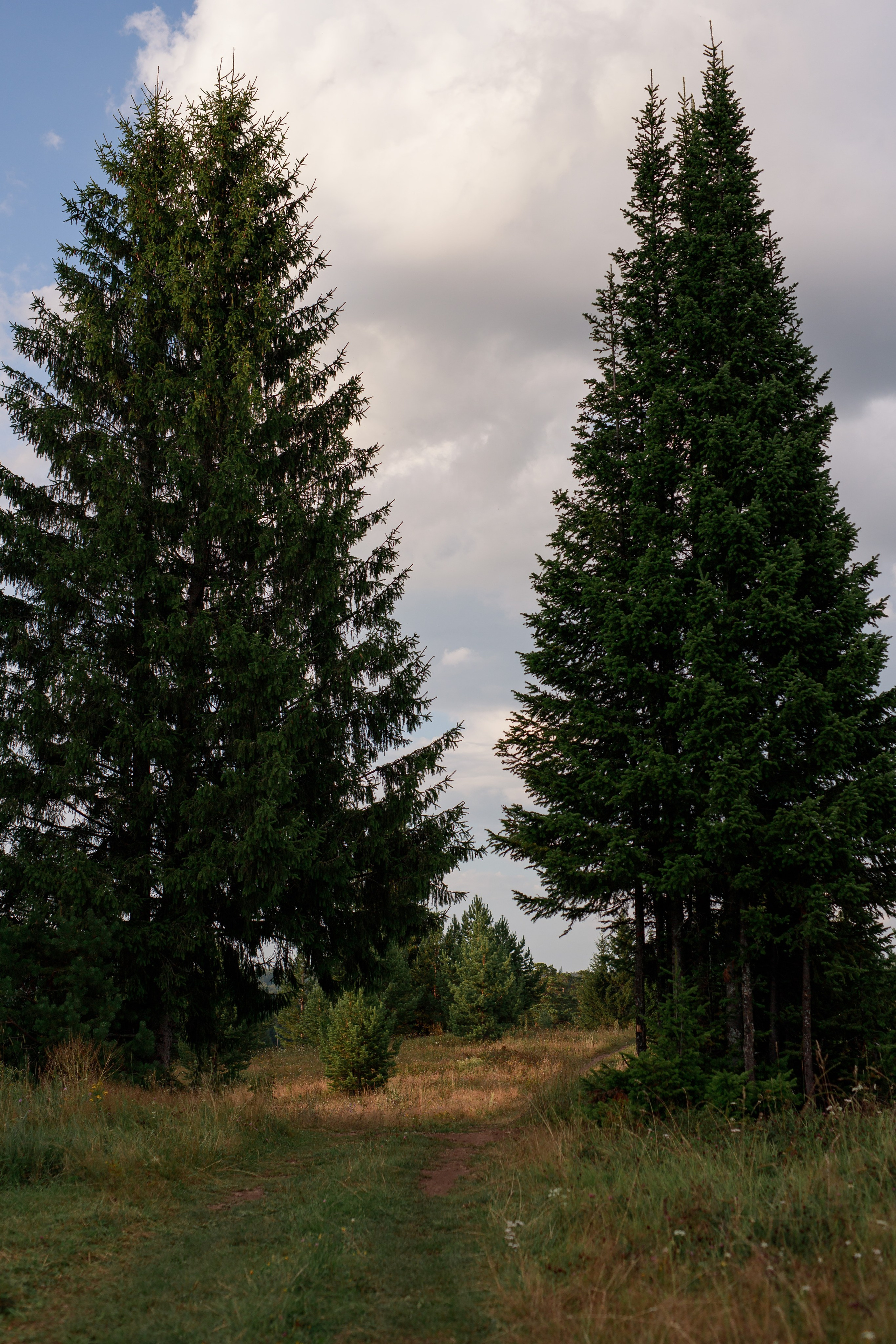 Ксения. Фотограф Анастасия Петрова