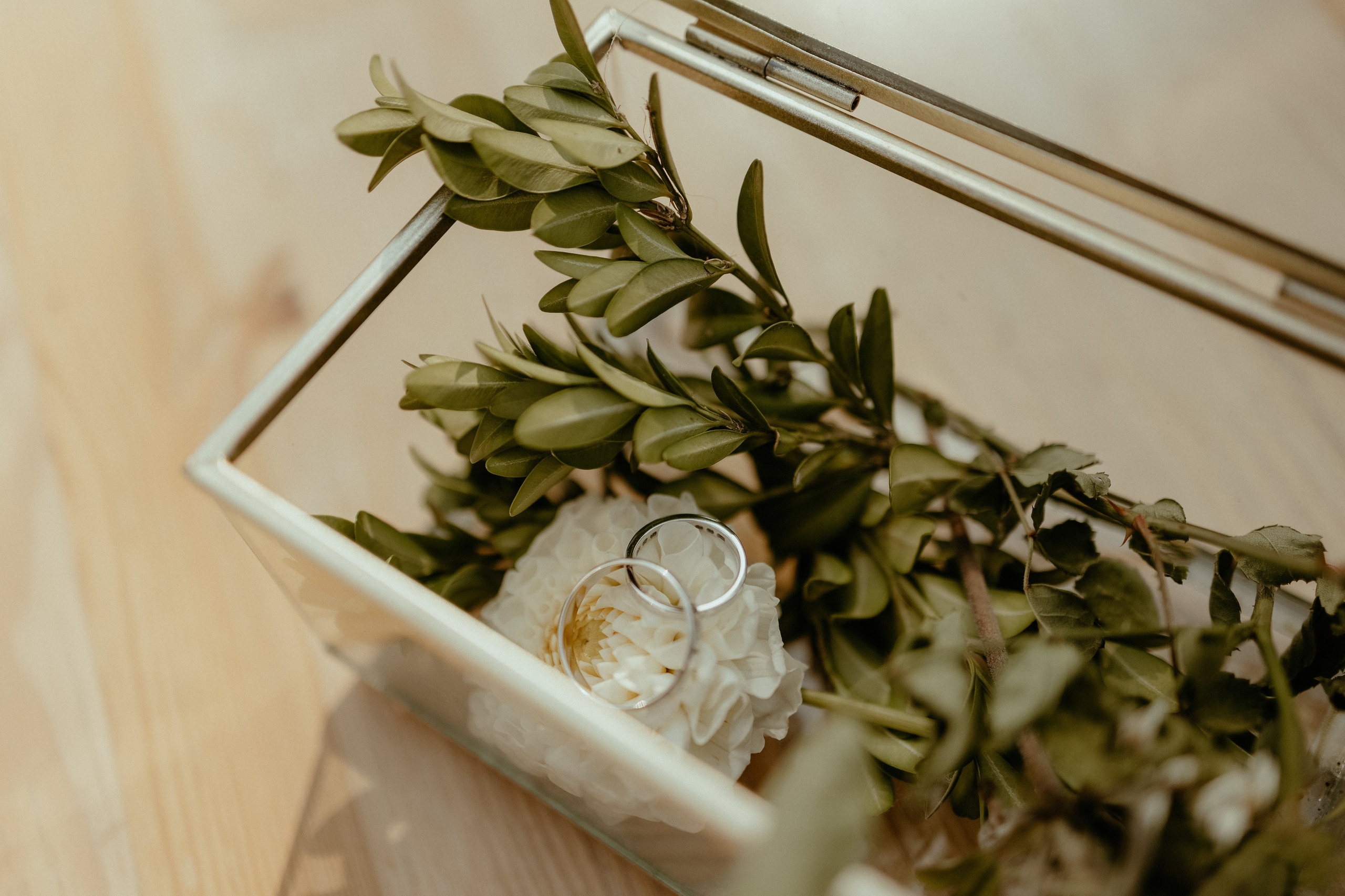 Violetta & Dmitriy. Фотограф Анна Велёнда