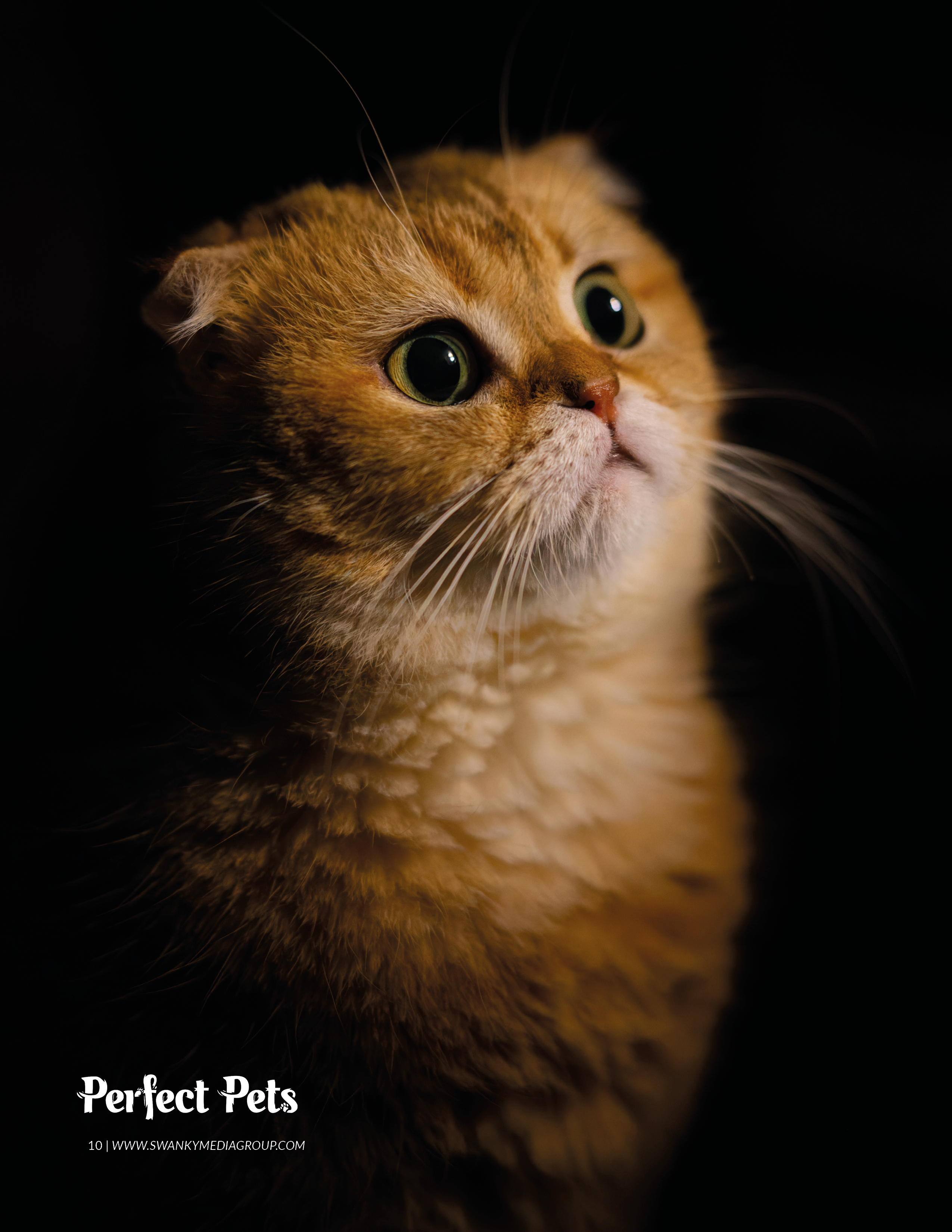 Публикации. Oles Paritskiy