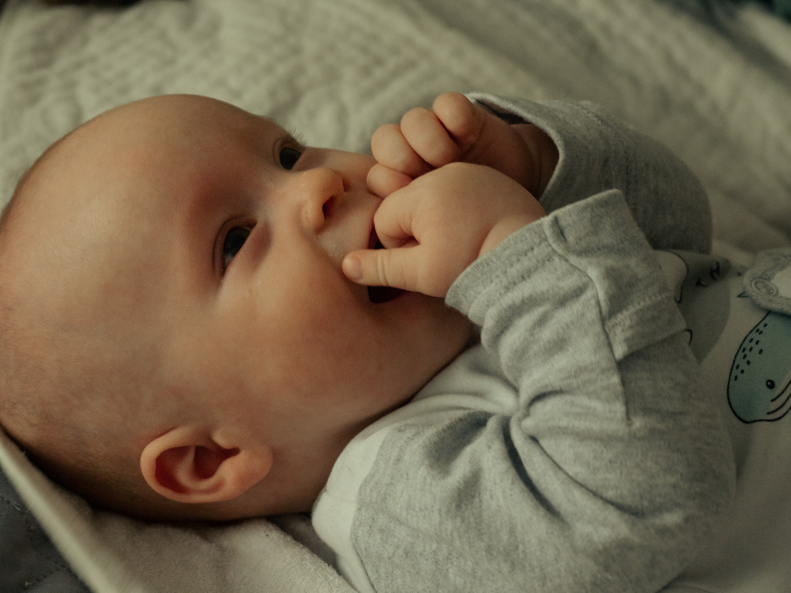 Семья Ожмеговых. Фотограф в Омске Долговых Катерина