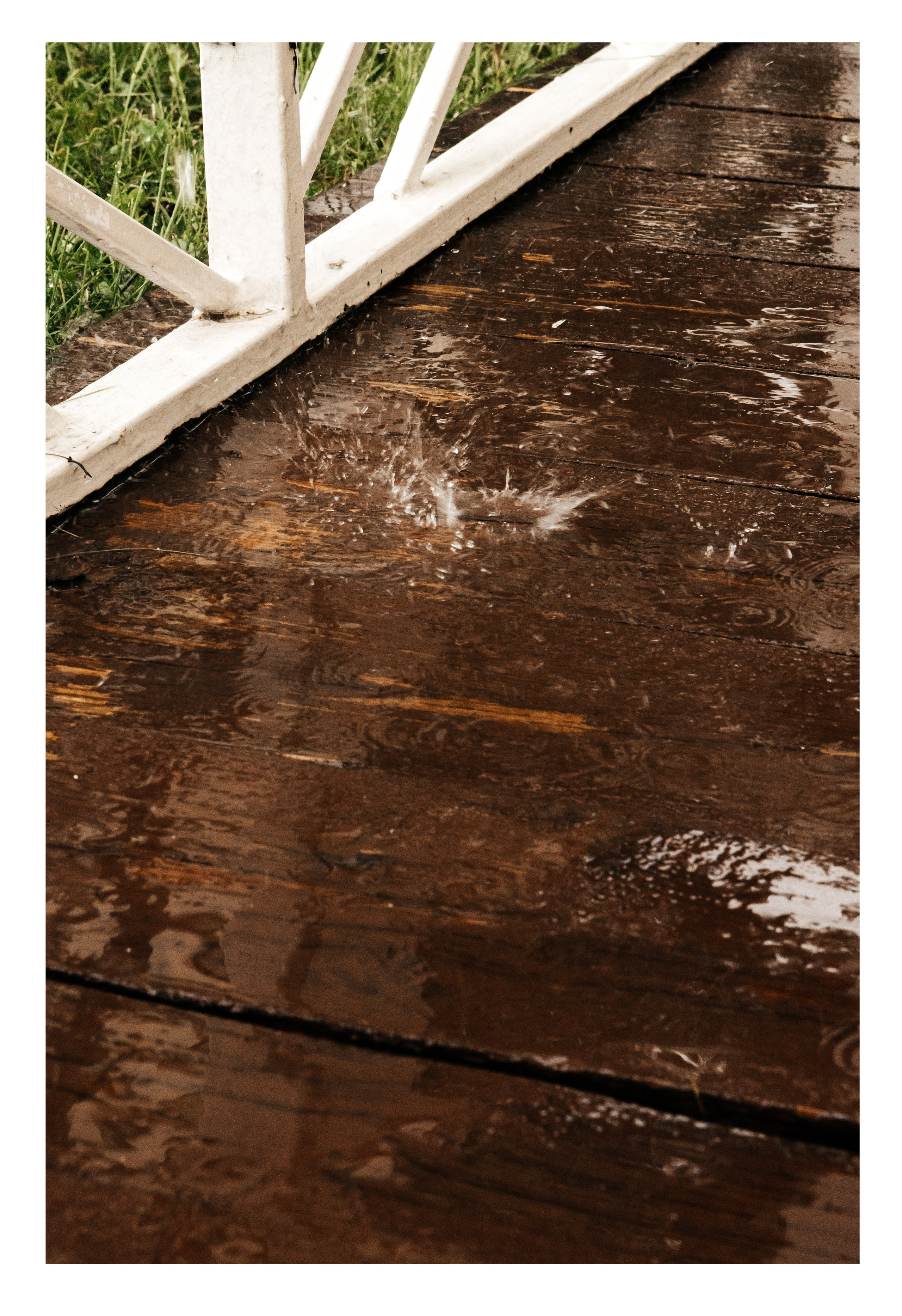 Софа и Рома. Фотограф Лесозаводск/Хабаровск