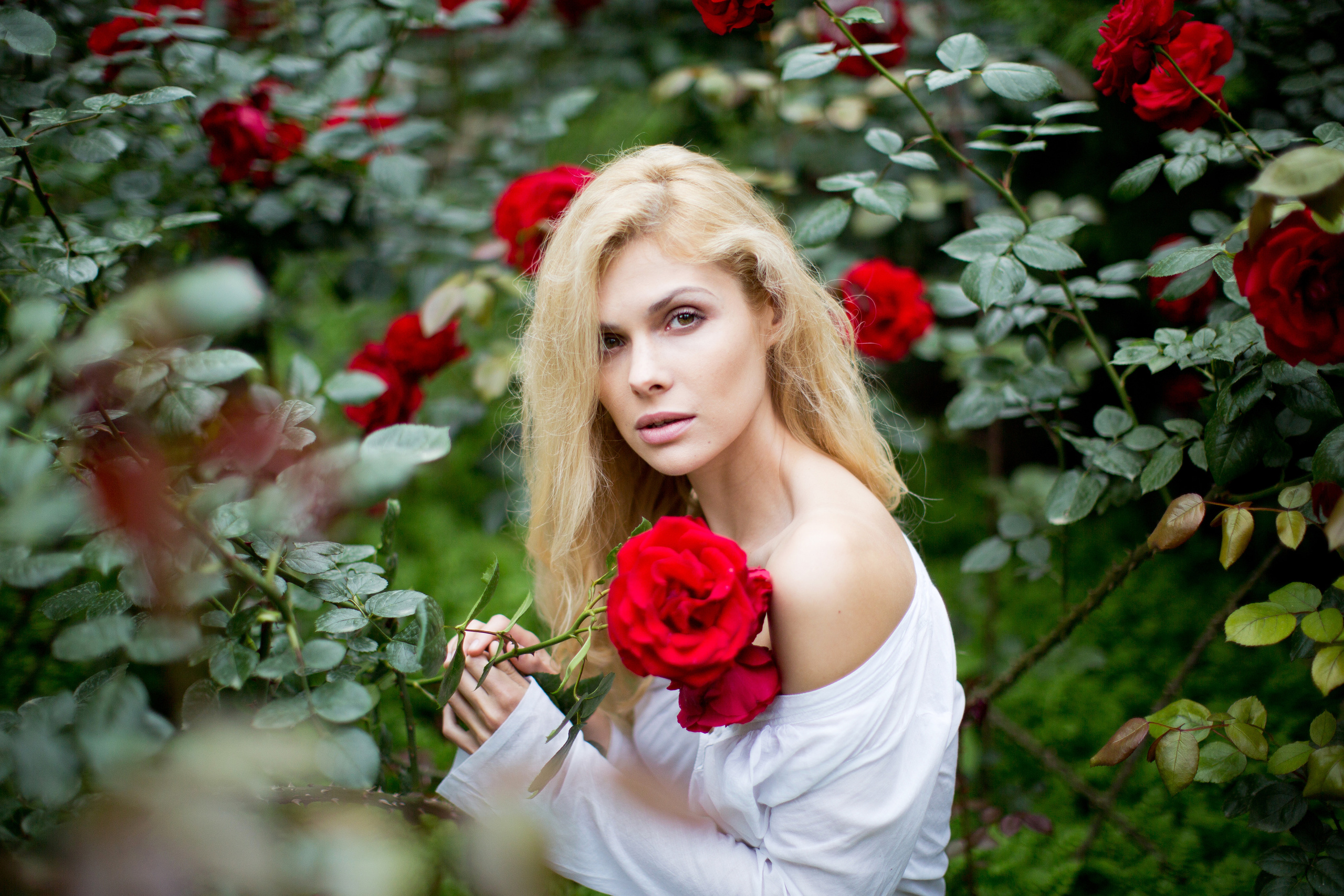 Южная прогулка. Фотограф Москва I Чехов Вероника Долинская