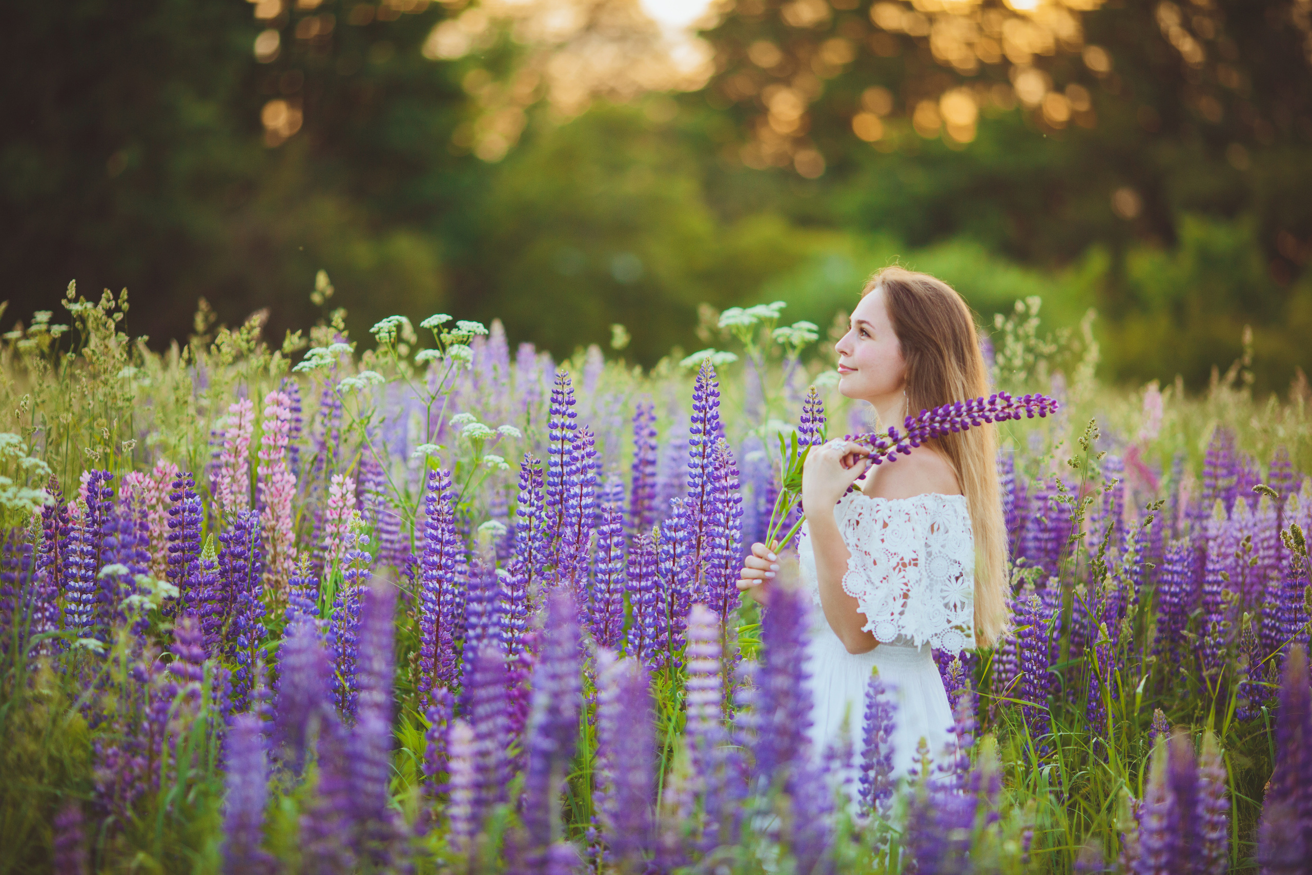 Люпиновое настроение. Фотограф Москва I Чехов Вероника Долинская