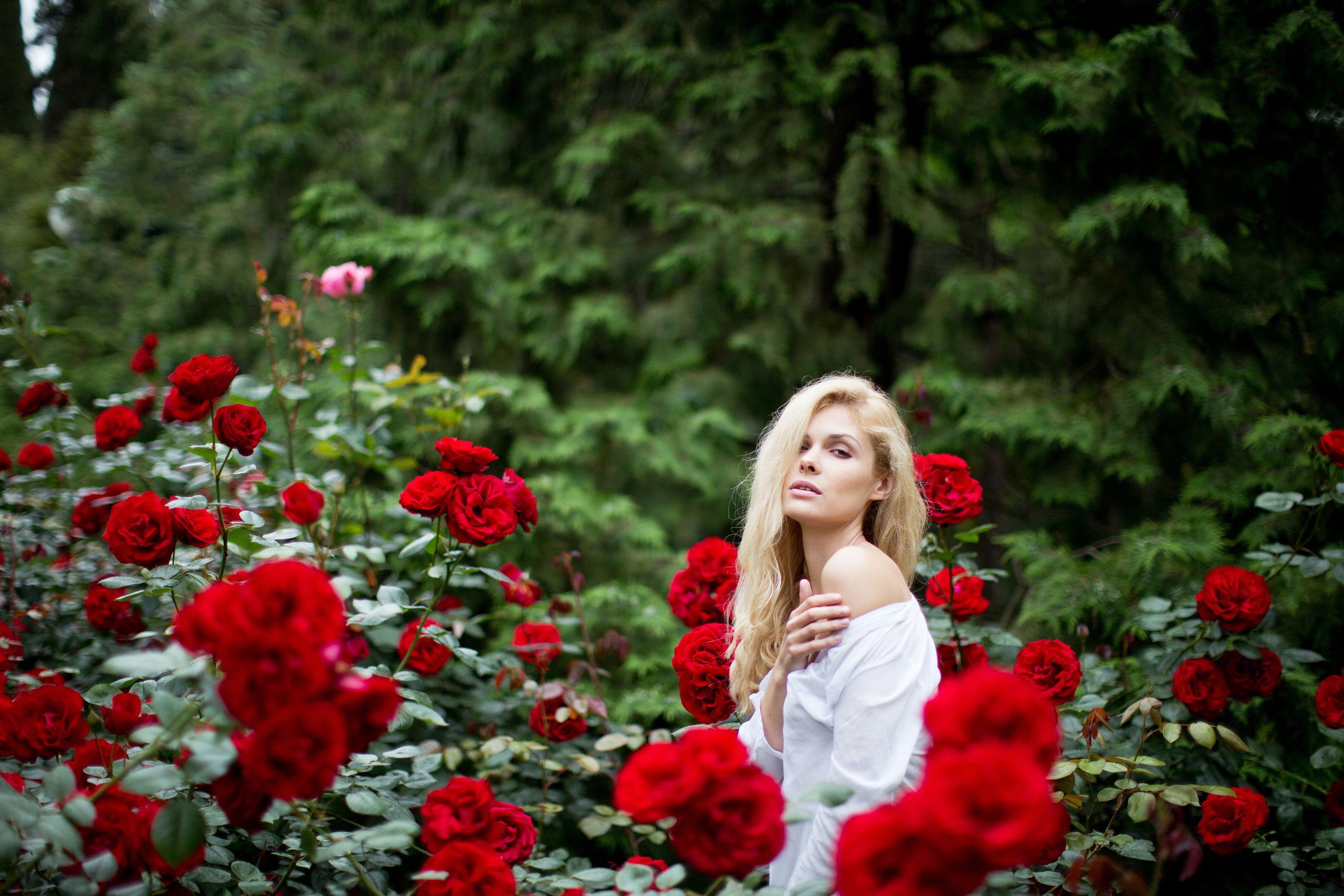 Южная прогулка. Фотограф Москва I Чехов Вероника Долинская