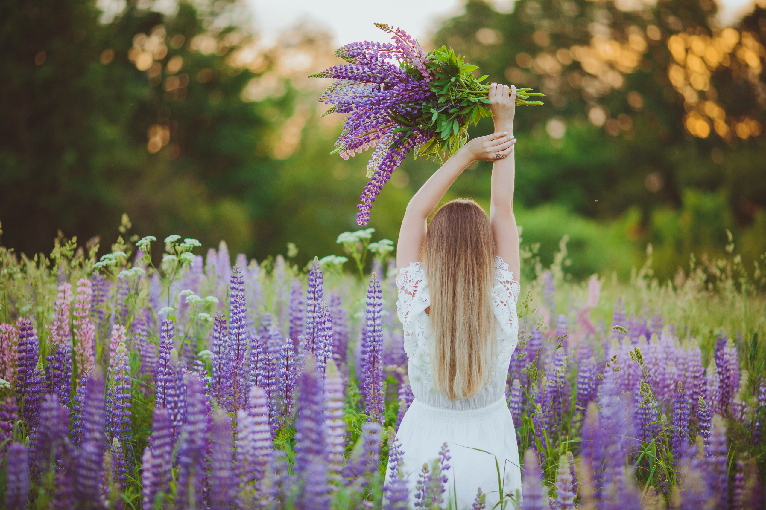 Люпиновое настроение. Фотограф Москва I Чехов Вероника Долинская