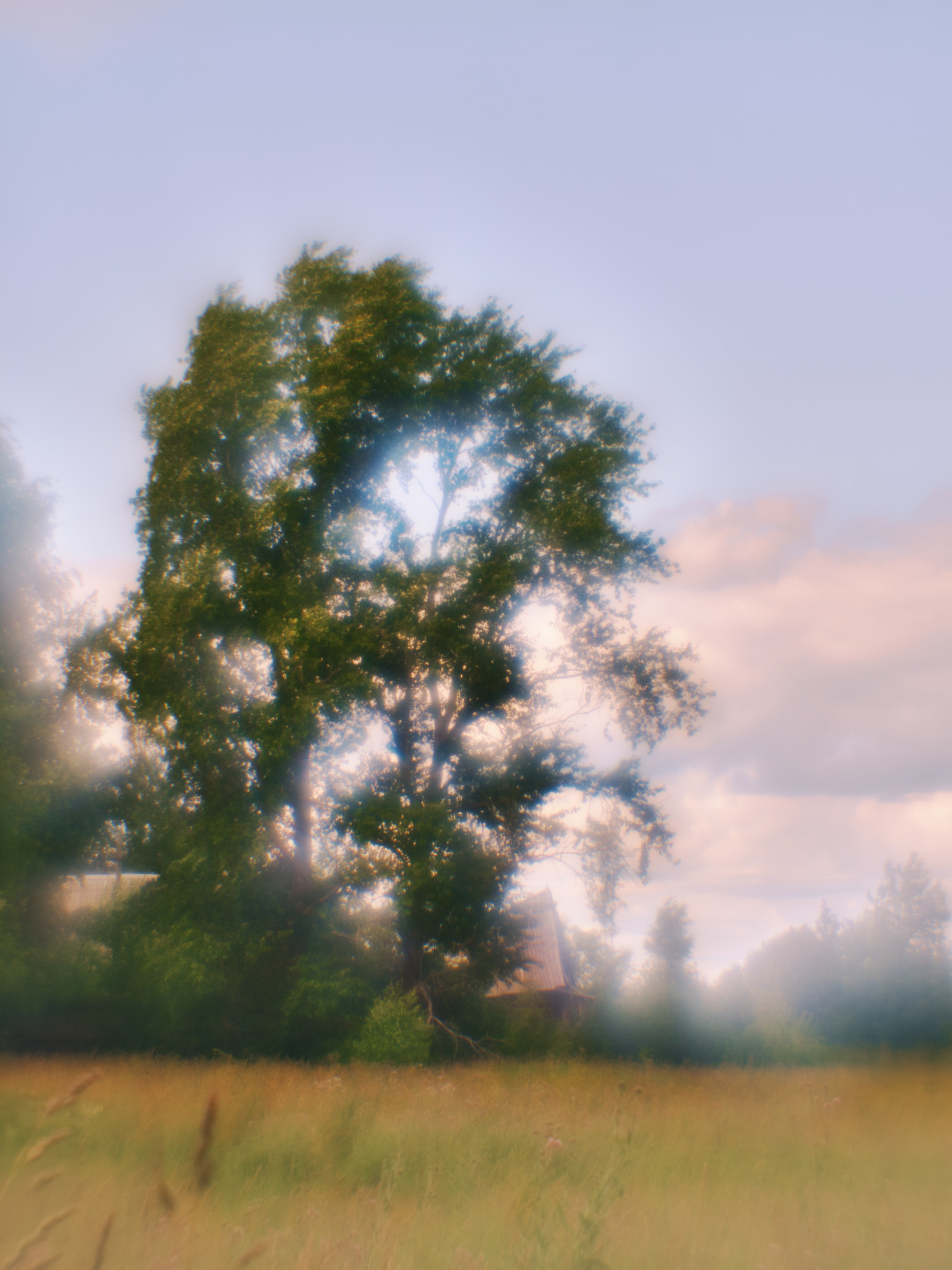 Фотограф Юлия Глазкова