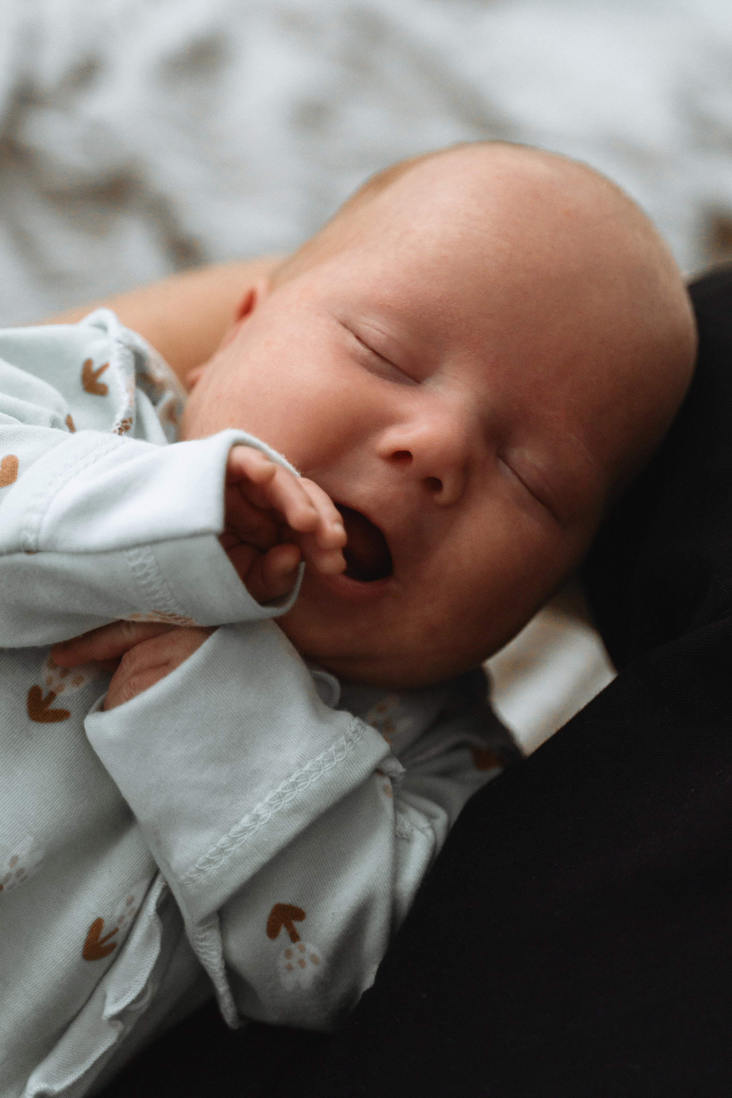 Вика, Вова, Варя и Василиса. Фотограф Москва. Екатерина Дударевич