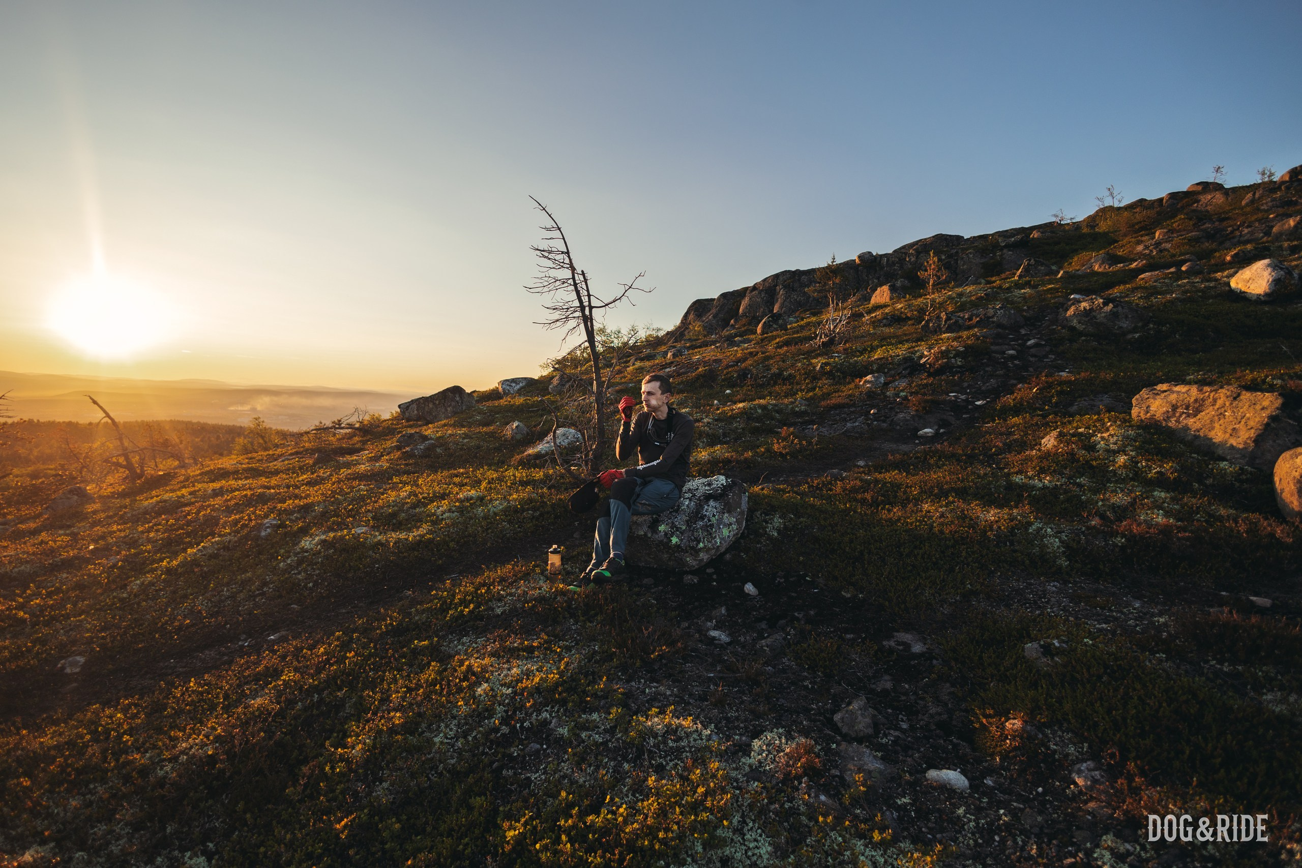 Кандалакшка. Фотограф анималист Никита Натальный