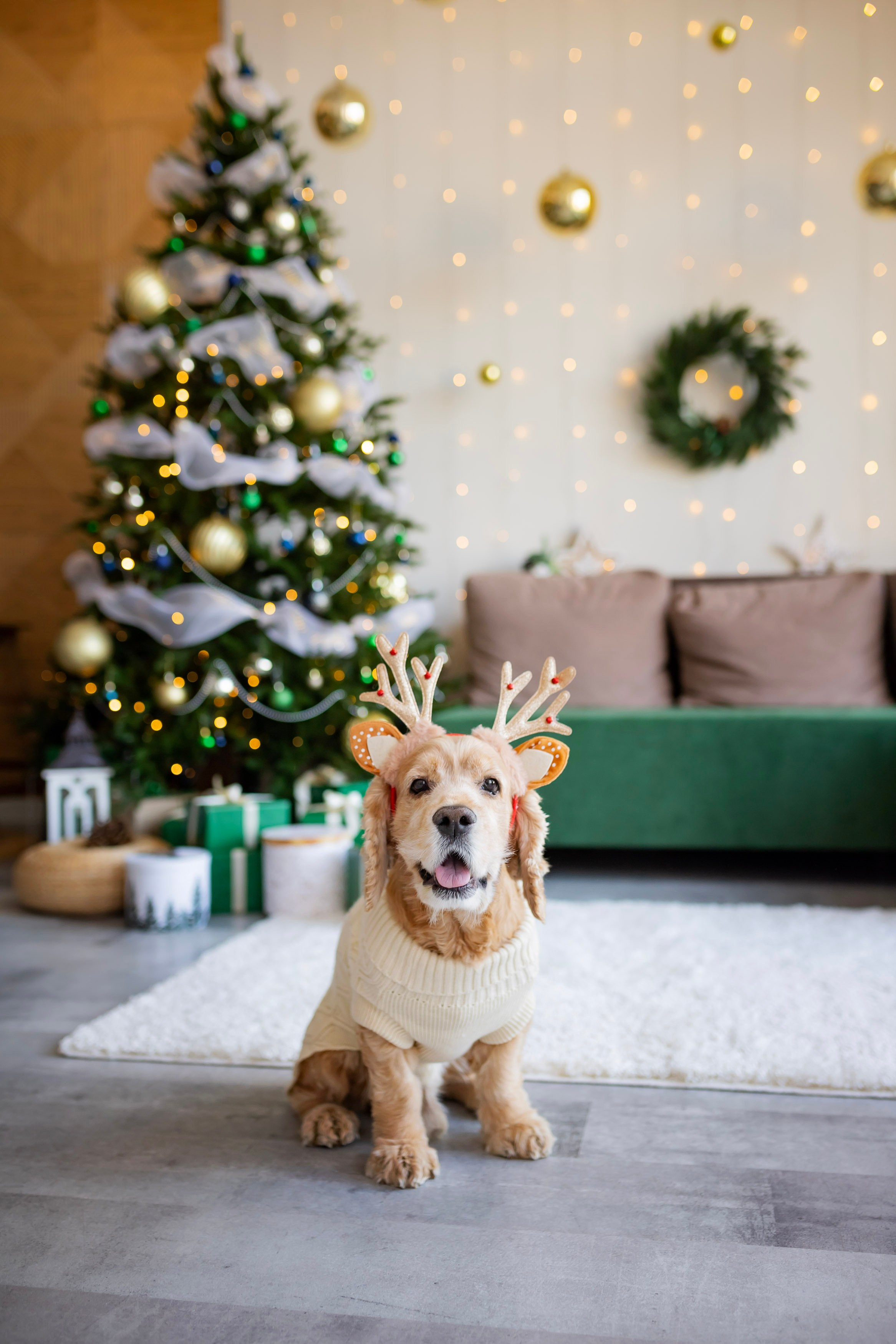 Новогодняя. Семейный, детский, свадебный фотограф в Георгиевске Дарья Домникова