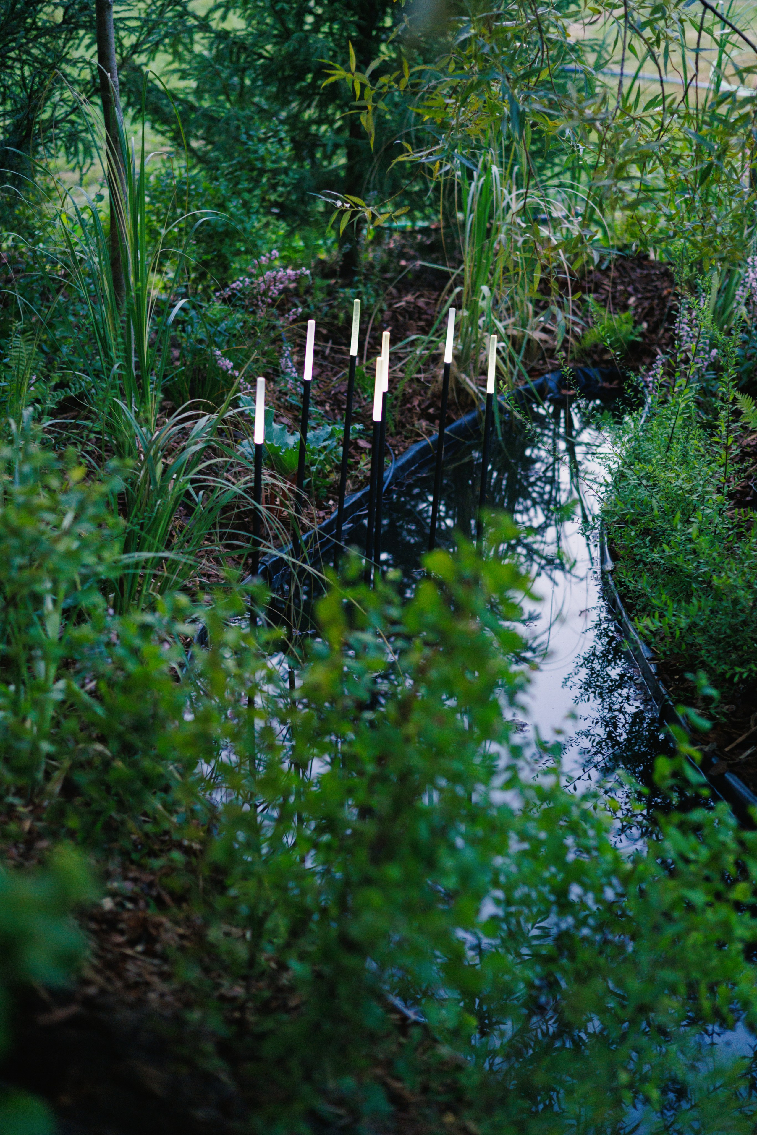 Ландшафтный дизайн. Фотограф Наталья Молчанова