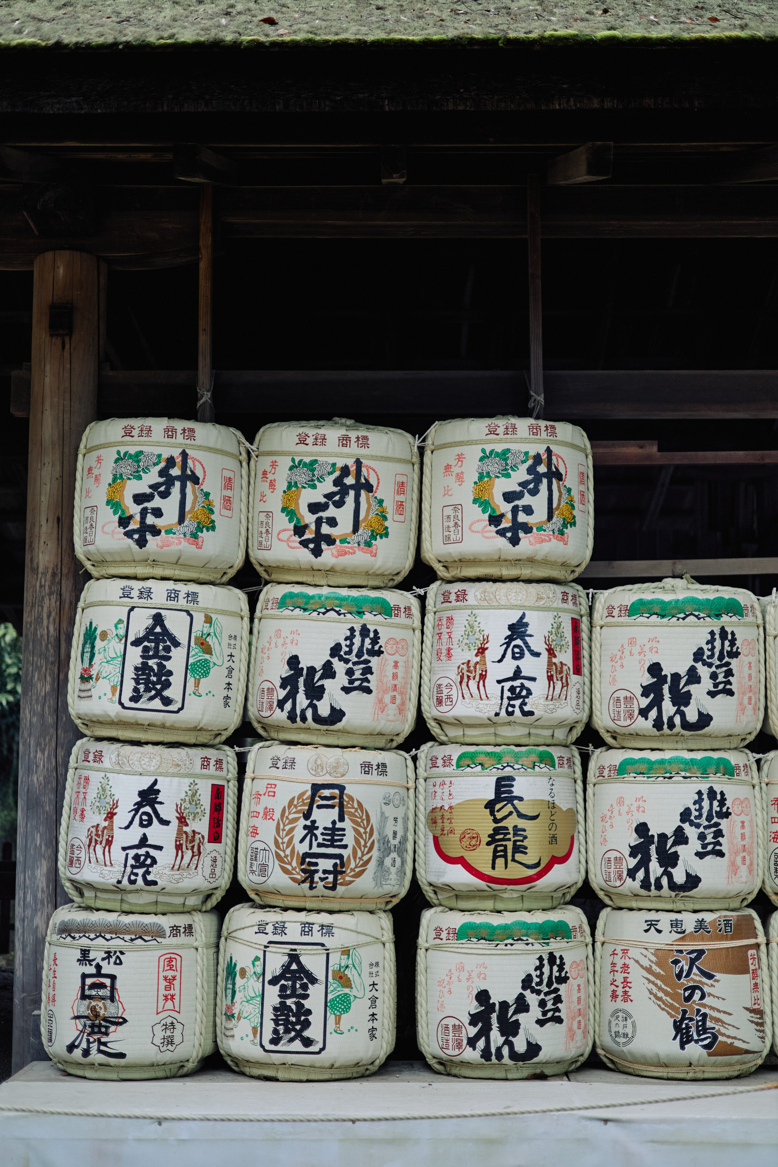 Япония. Профессиональный Фотограф во Владимире, в Москве и в Суздале — Полина Романычева
