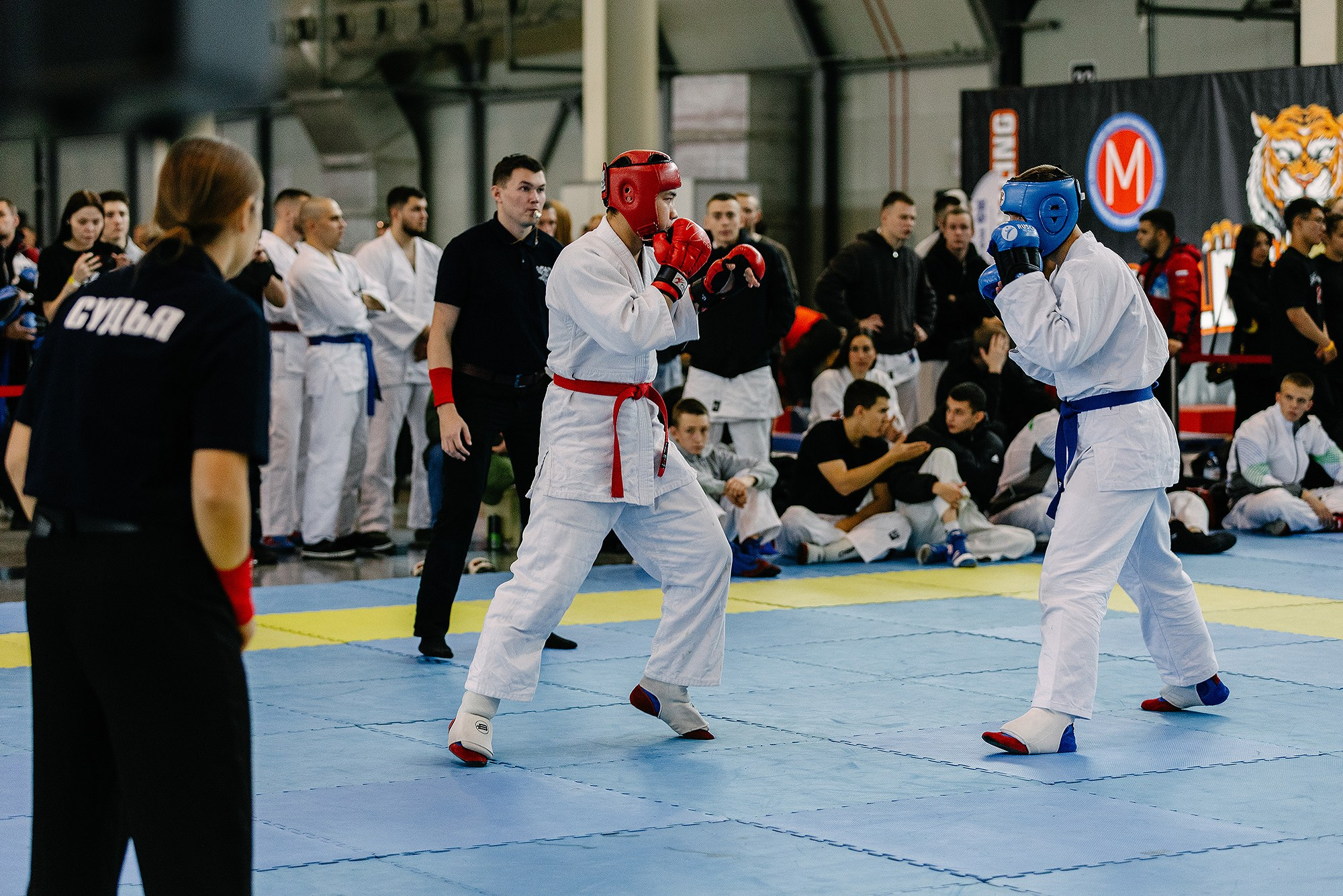 GOLDEN TIGER — XIX. Семейный и репортажный фотограф Наташа Давыдова