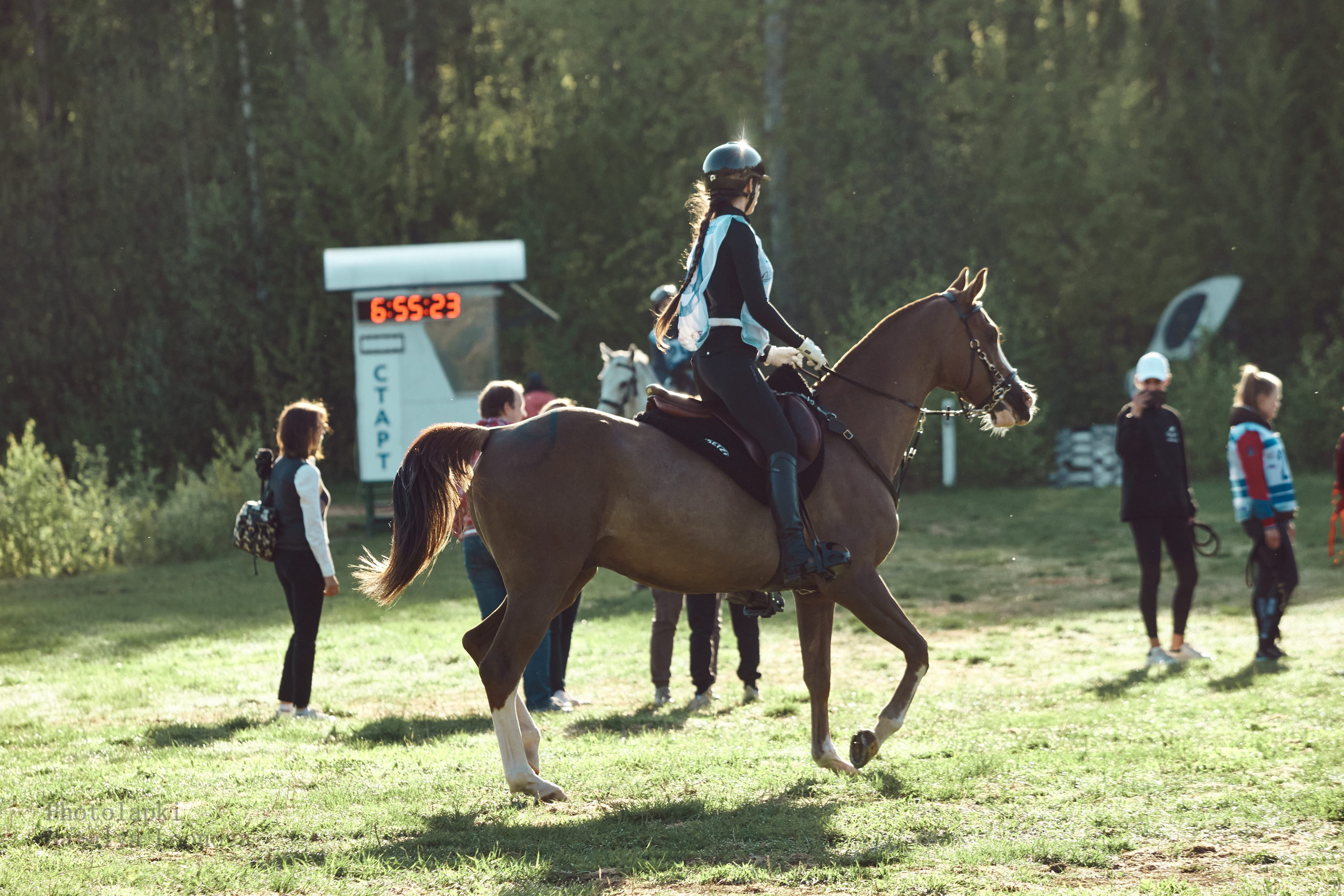 HORSE RACING. Фотограф Наталья Леонова