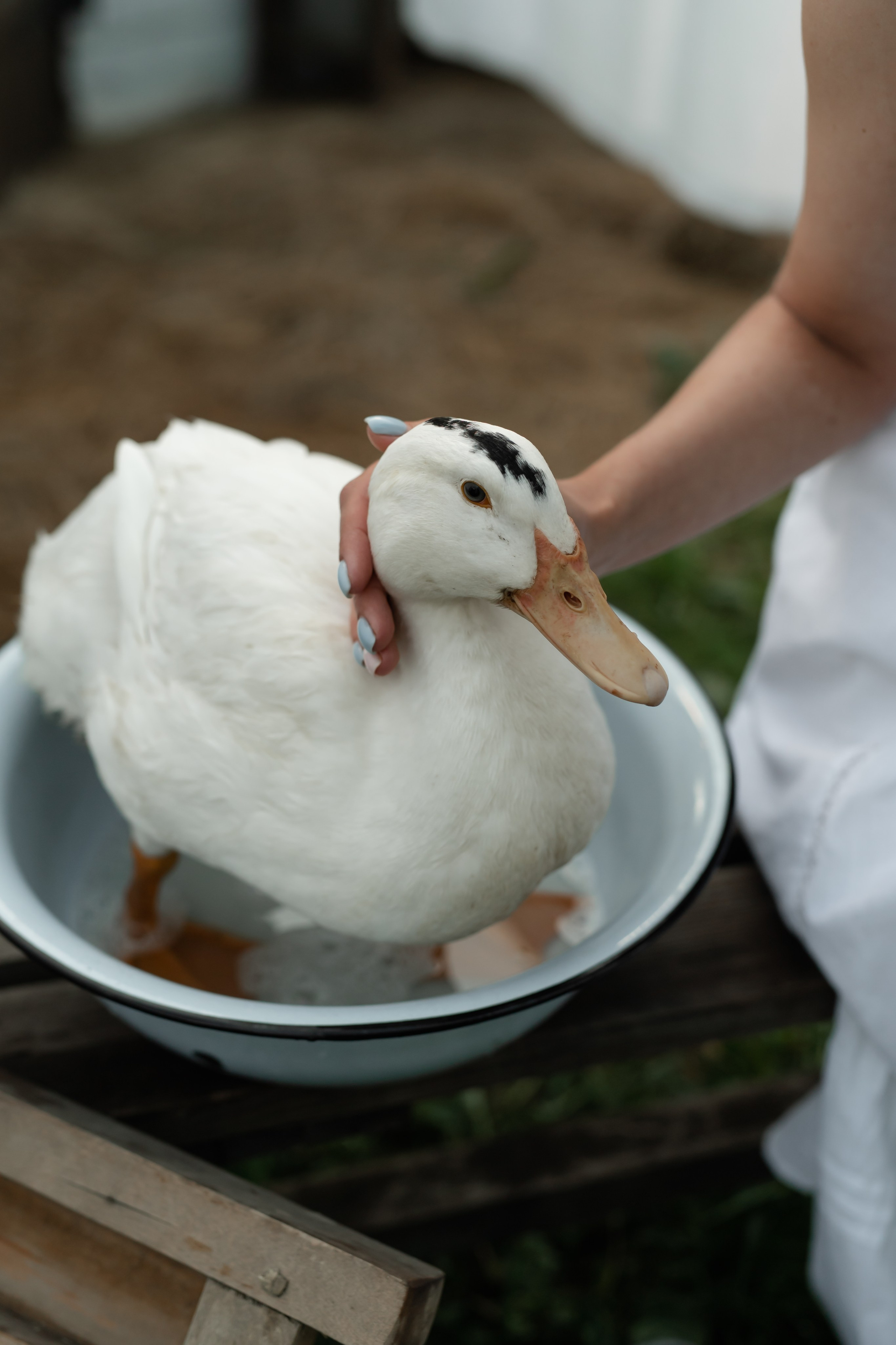 Katry. Семейный и контент фотограф