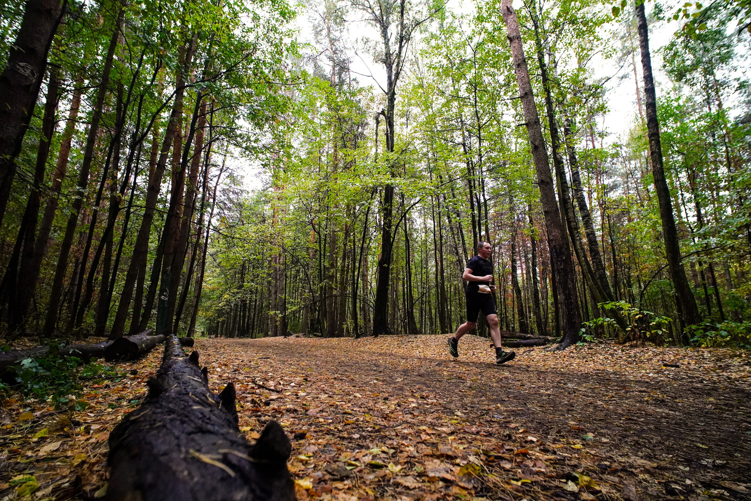Backyard Ultra Moscow 2024. Роман Капилюшов. Бег. Фото. Видео. г. Люберцы