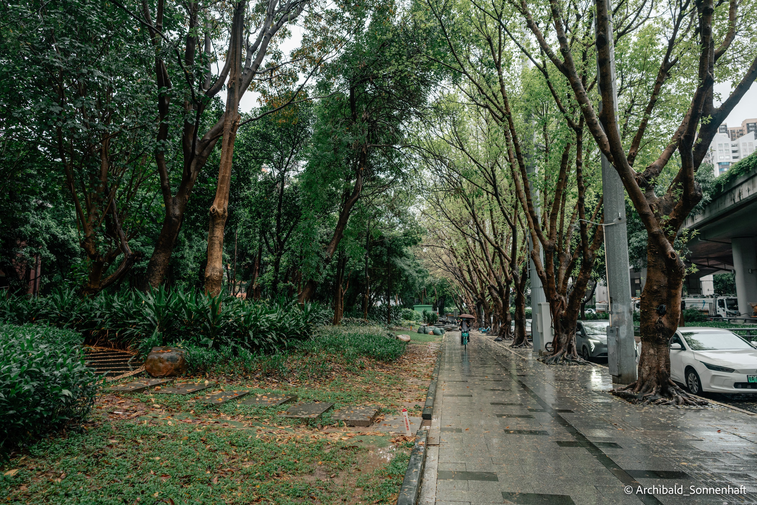 Week trip to GZ. Photographer in Guangzhou, China. Archibald Sonnenhaft