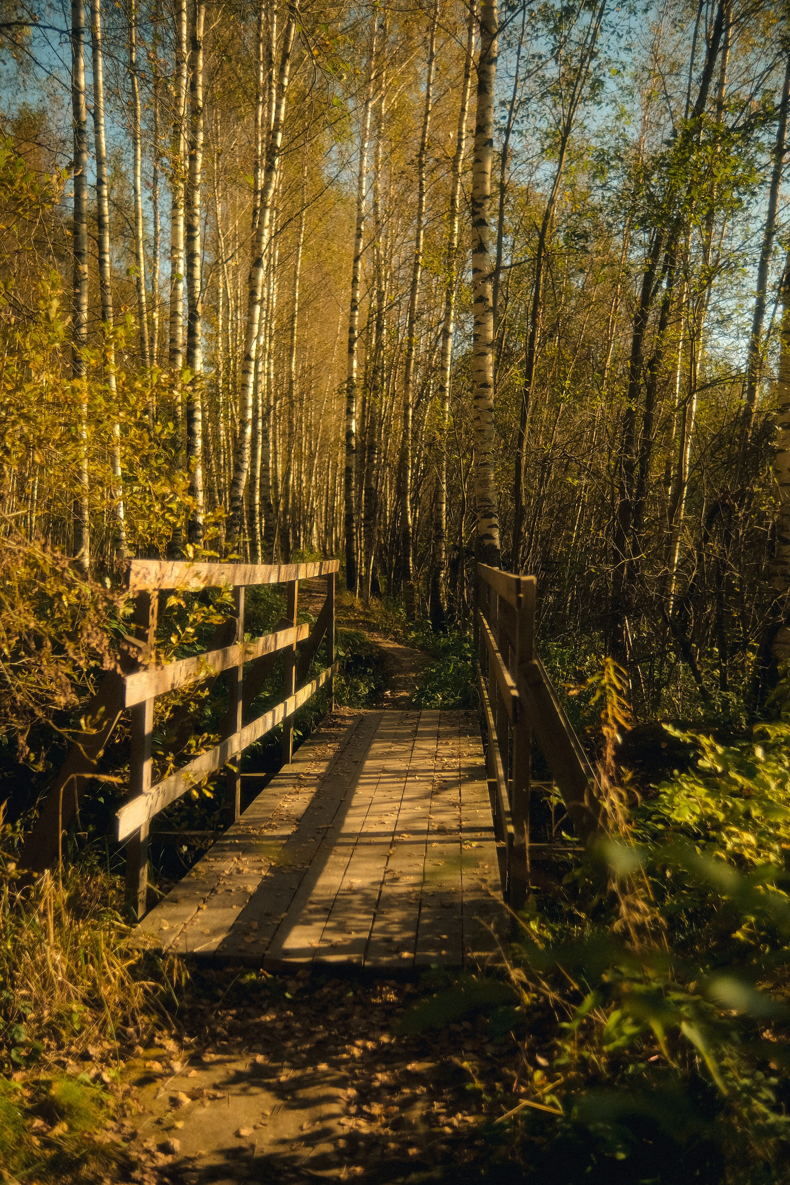 Маша & Влад. Phdkvmr.ru