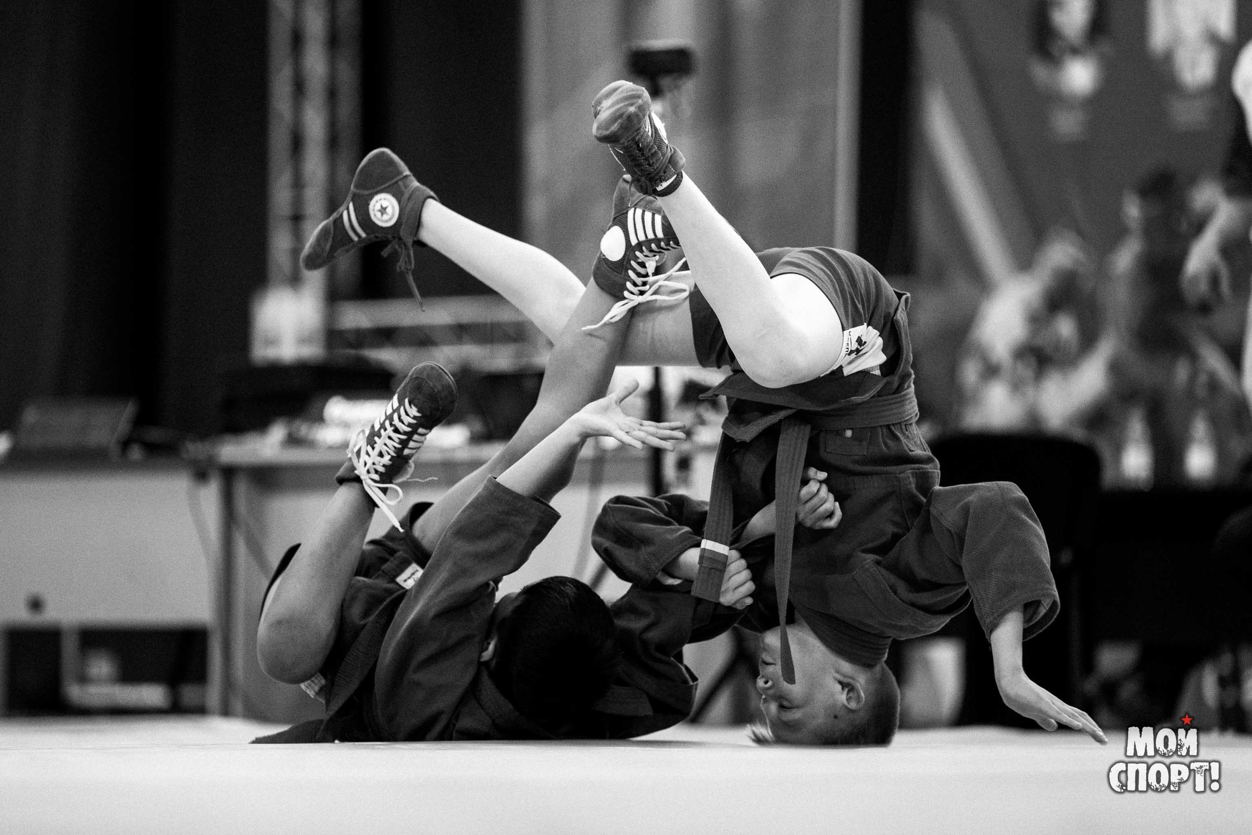 Всероссийские соревнования по самбо «Победа». Студия «Мой Спорт!» — все о спорте в Якутии