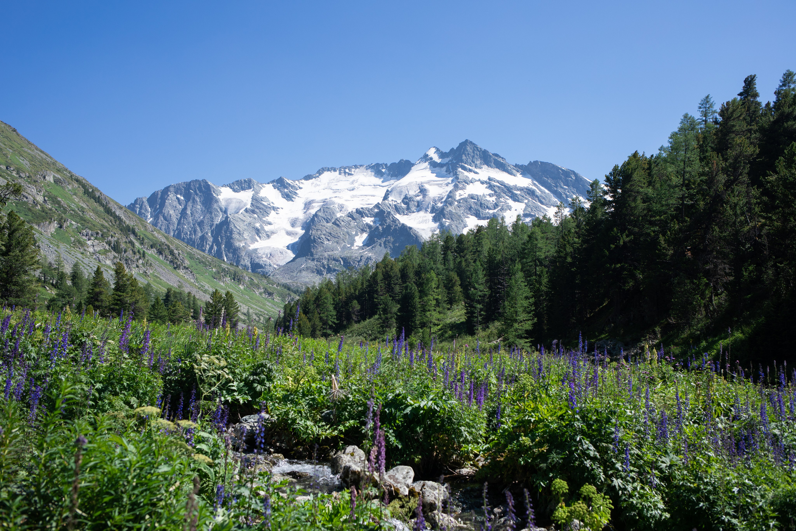 Altai. Yulia Tsyganova