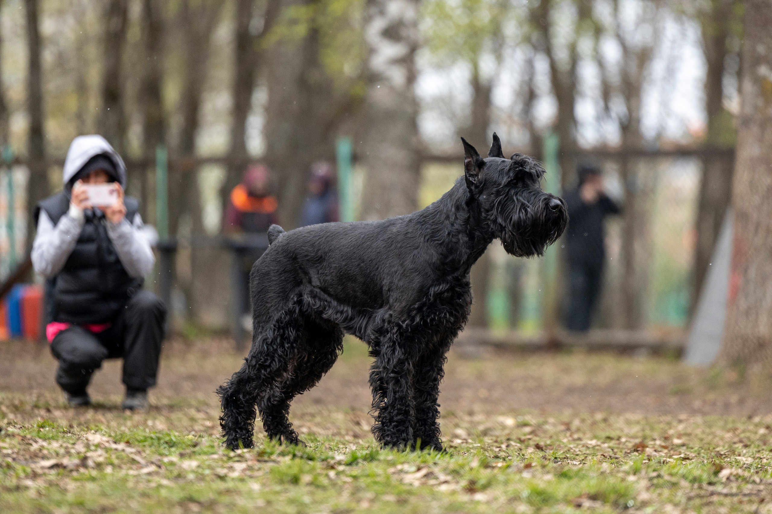 Квалификационные состязания по мондьорингу г. Вологда 11.05.24. Фотограф-анималист Анна Маринич