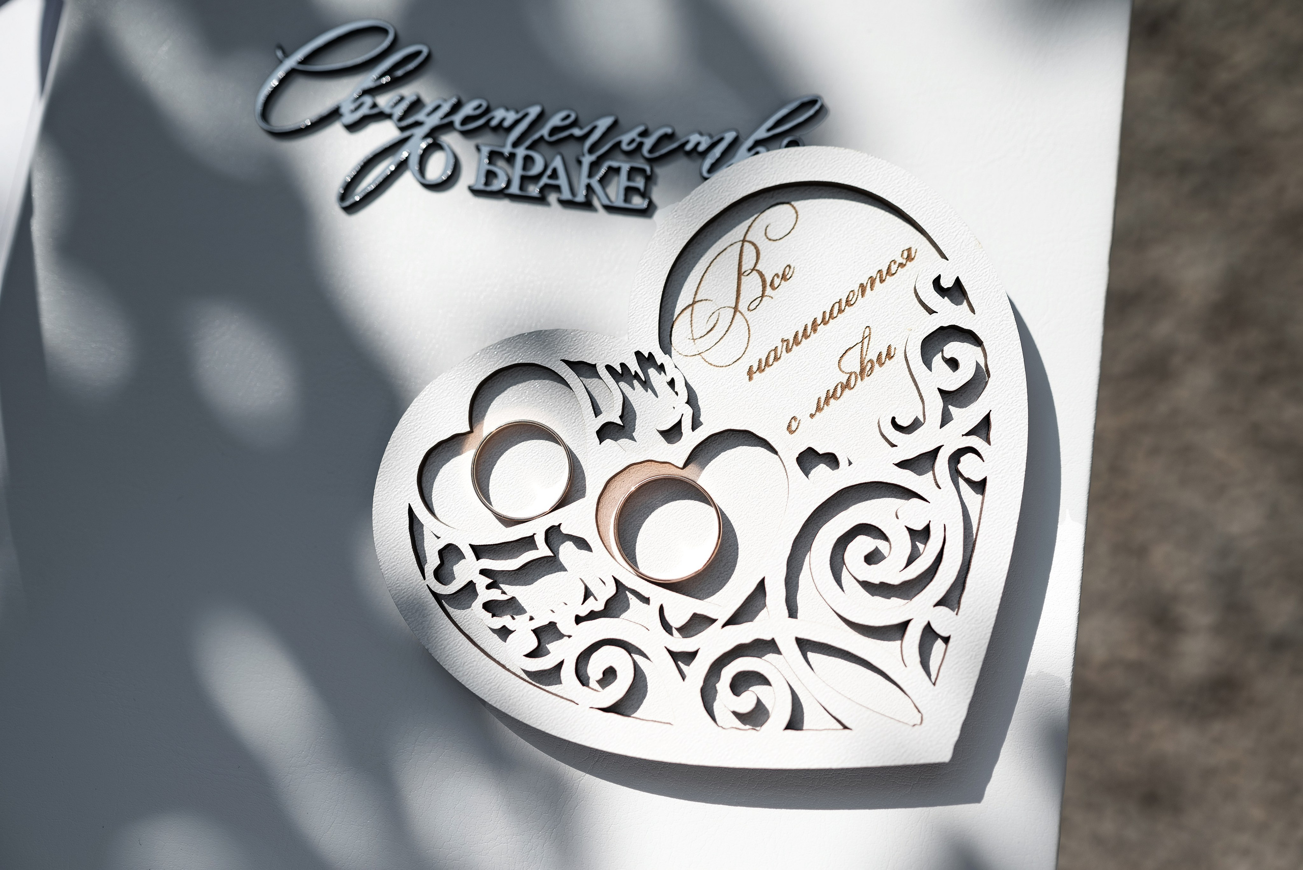 Валерия и Иван. Бжицких Виталий — фотограф г. Ульяновск