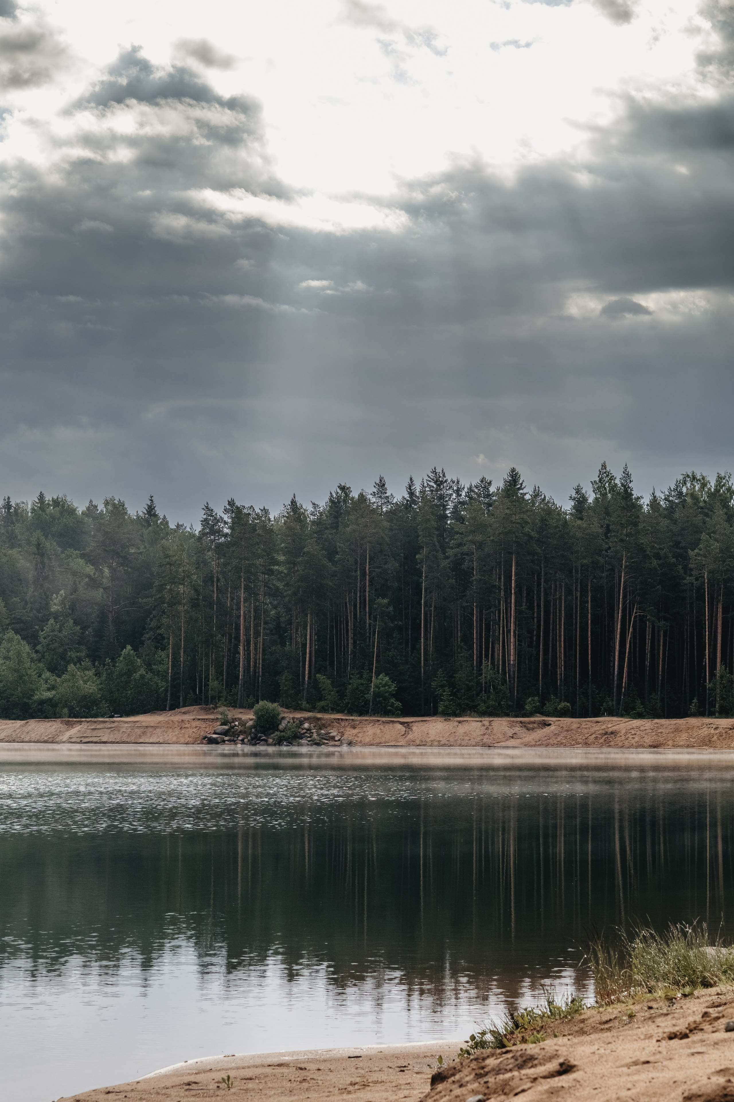 Природа. Фотокружок «Видоискатель» ГБОУ СОШ № 291