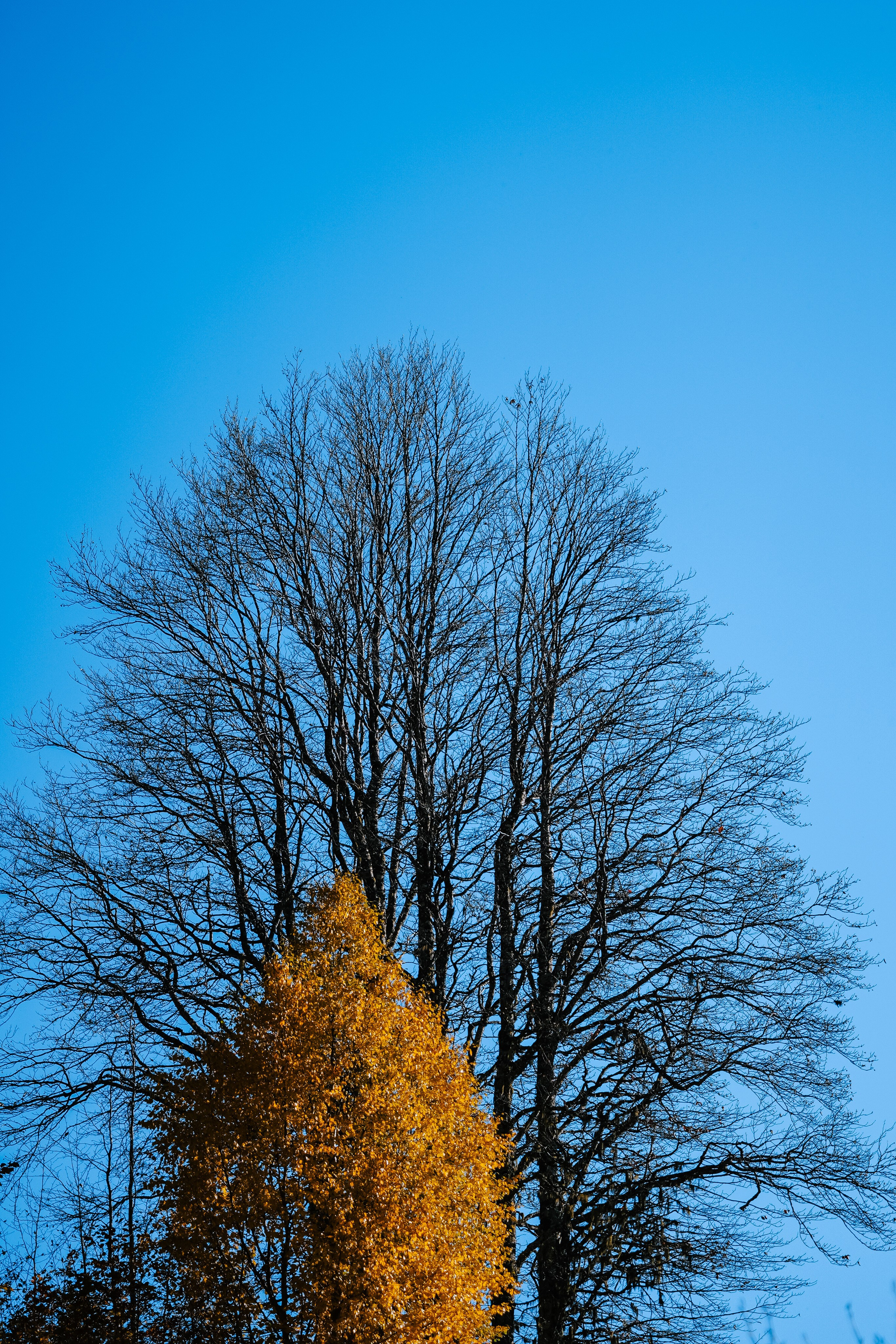 Роза Пик, тропа Турья ✽ Октябрь. Репортажный фотограф | Роза Хутор Красная Поляна Сочи Сириус