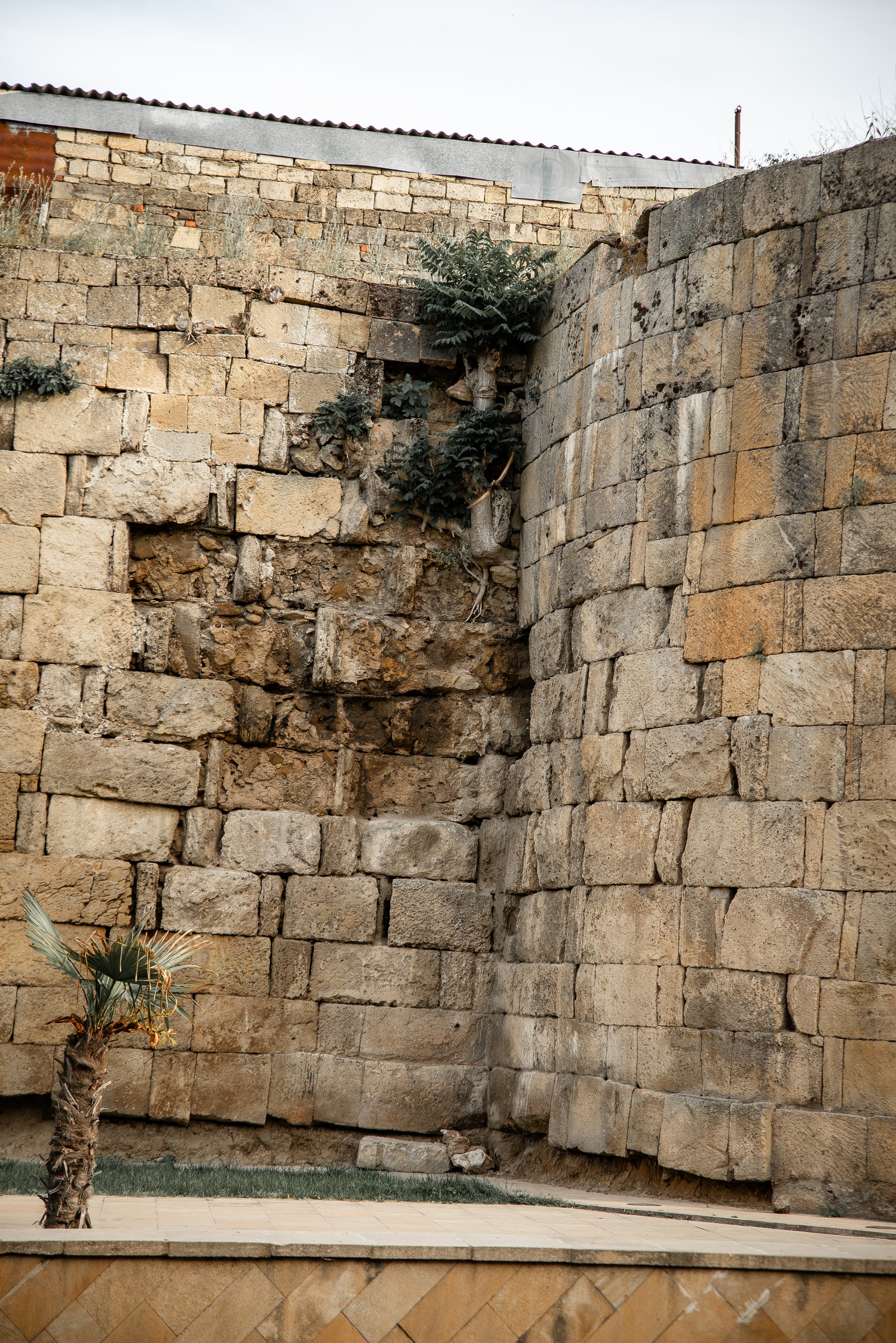 Дагестан. Фотограф Крещение Венчание Москва