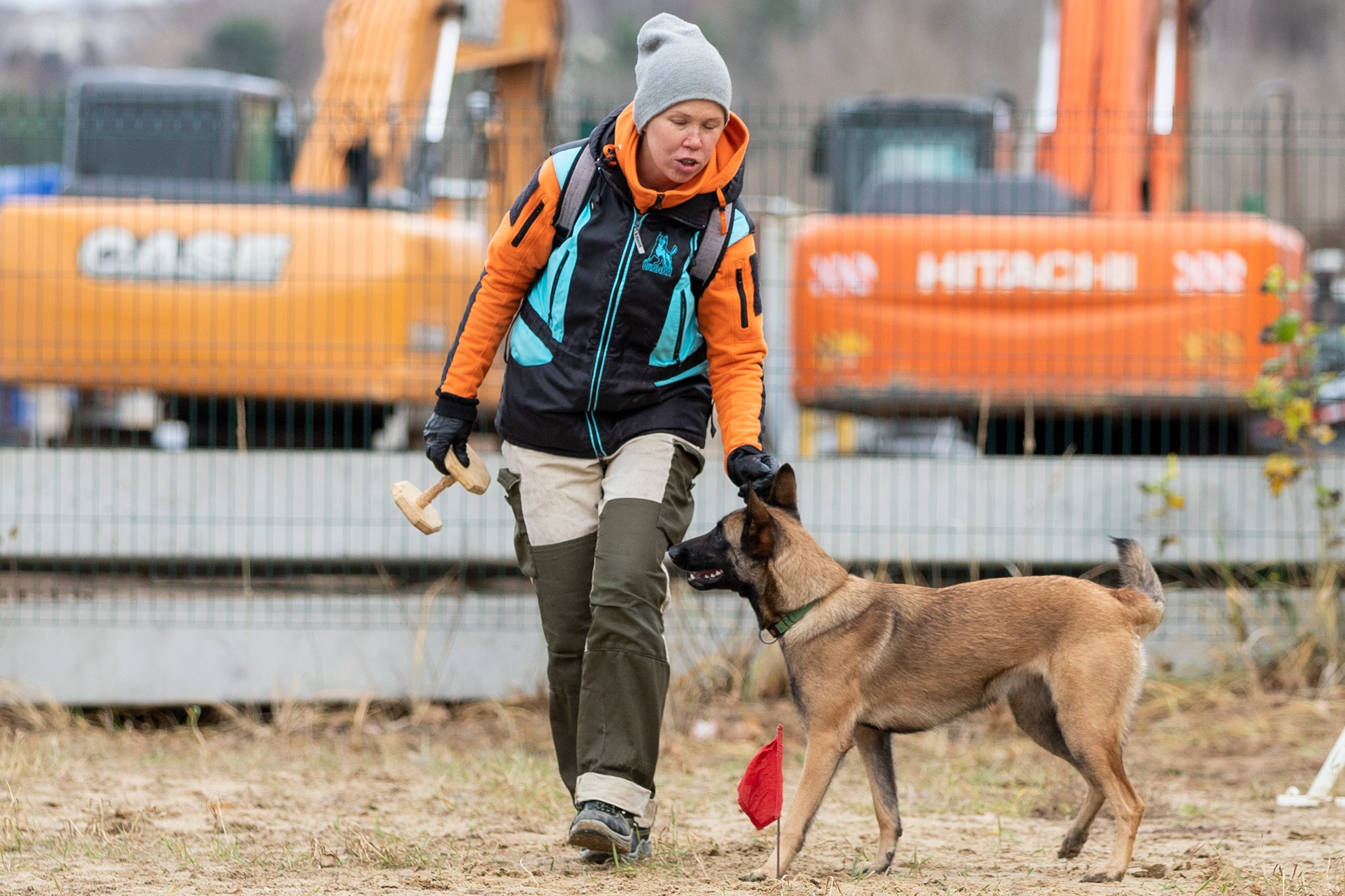 Вера и Чейз на экзамене ОКД. Фотограф-анималист в Калуге Мария Шерскова