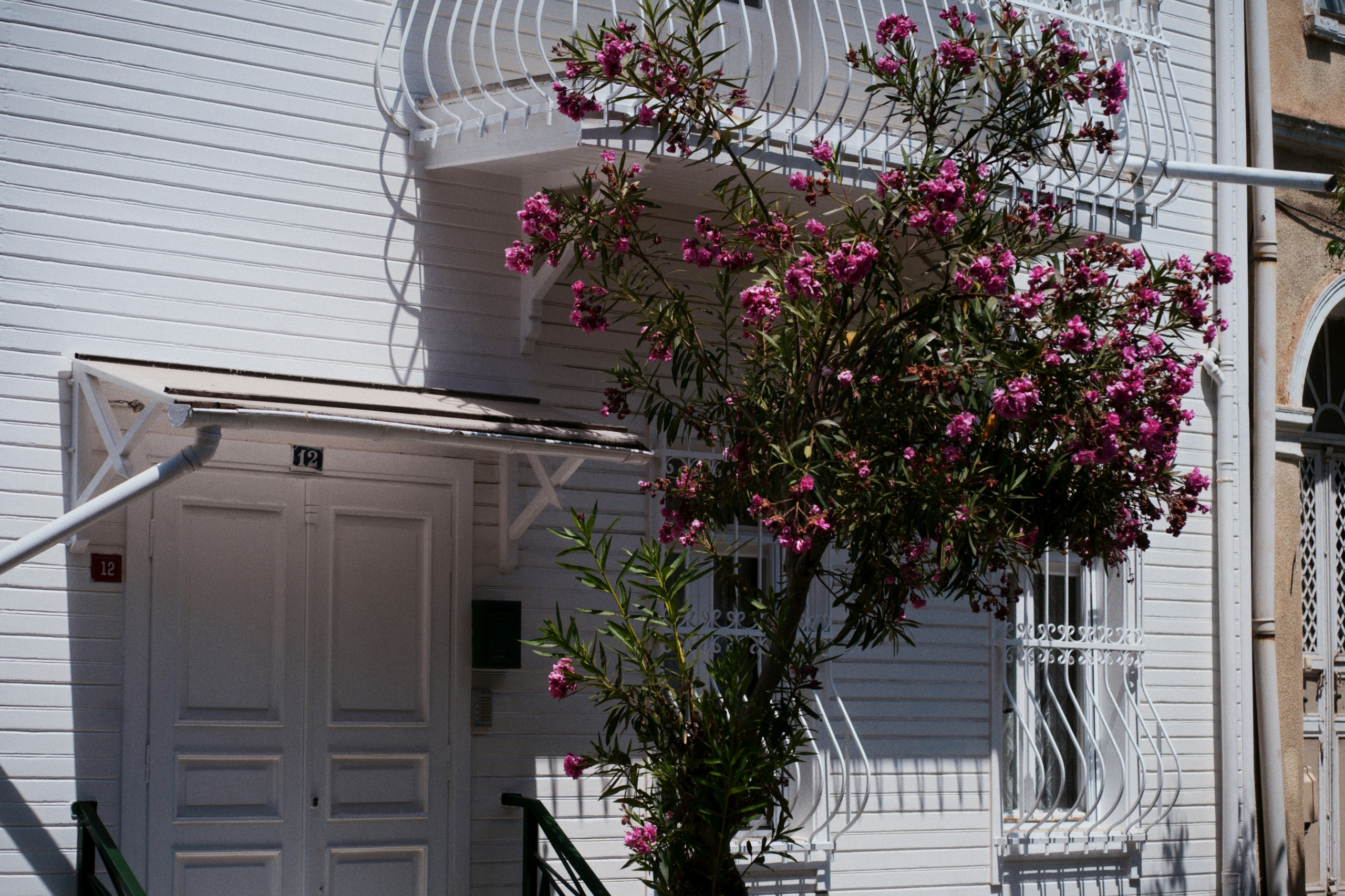 Büyükada х Heybeliada, Istanbul / Türkey SS25. Фотограф Юрин Евгений