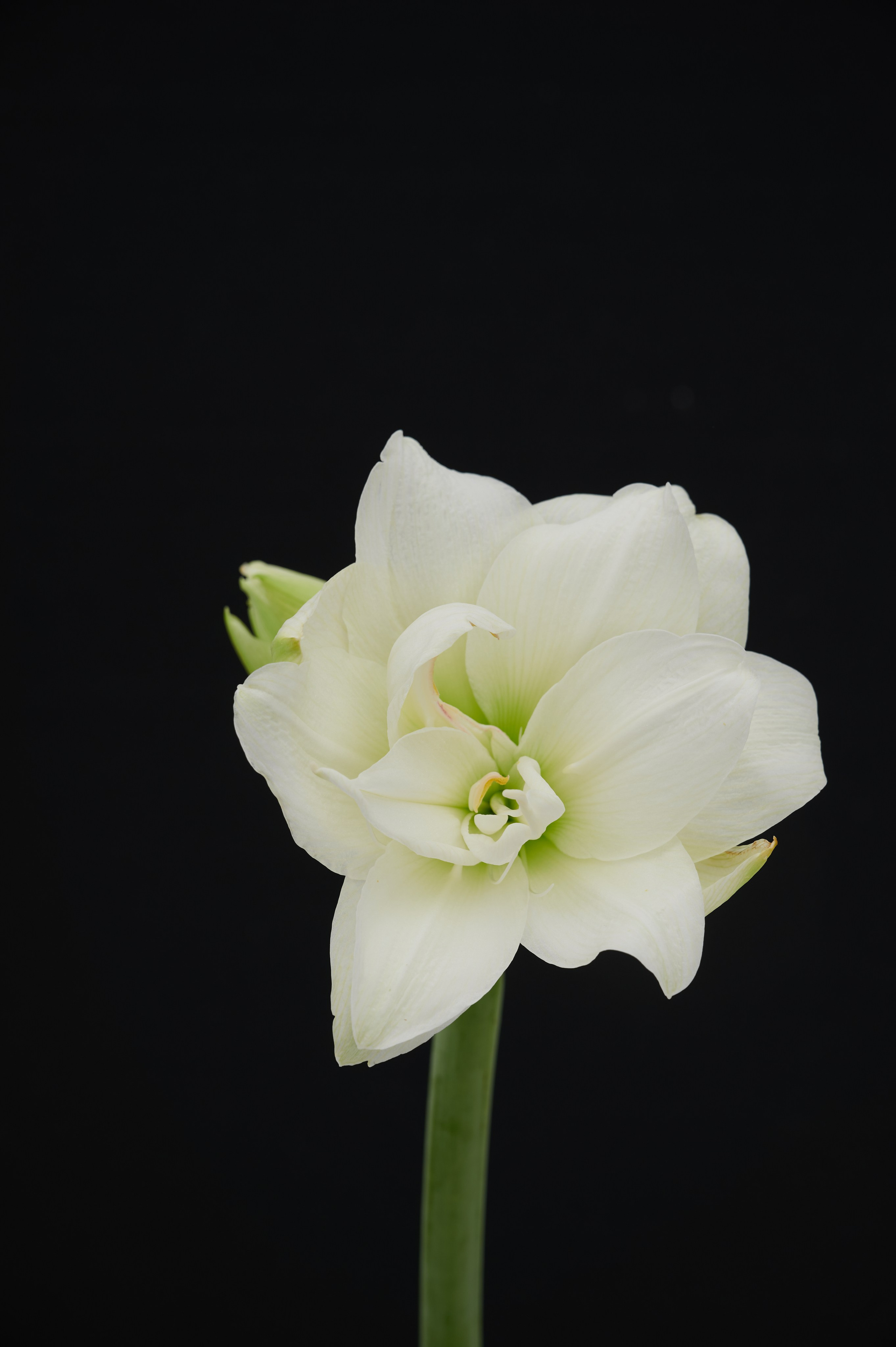 Женская одежда «Vogger». Контент фотограф в Саратове и Москве Дима Савельев