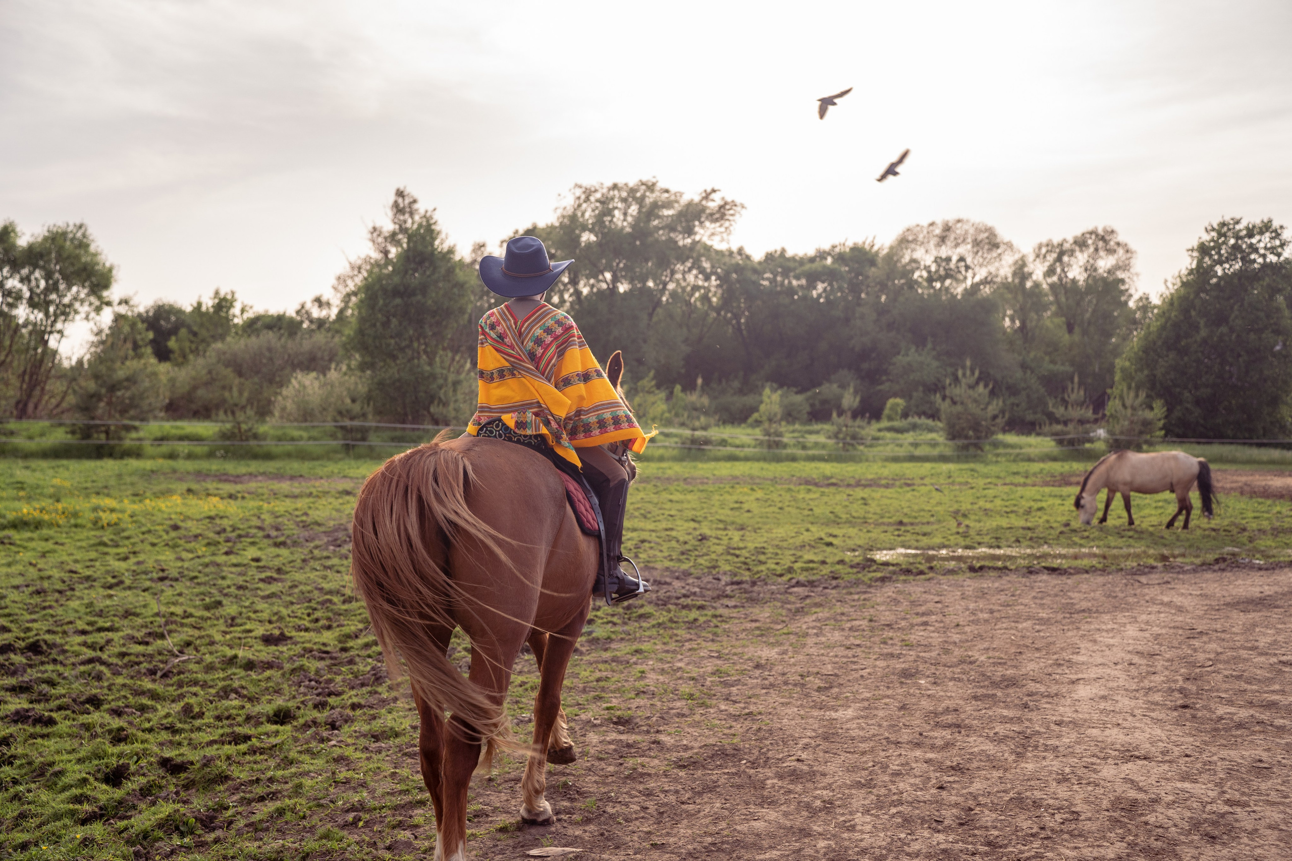 Выйти в лето в поле с конем. Видеограф и фотограф в Москве Анастасия Рябчикова