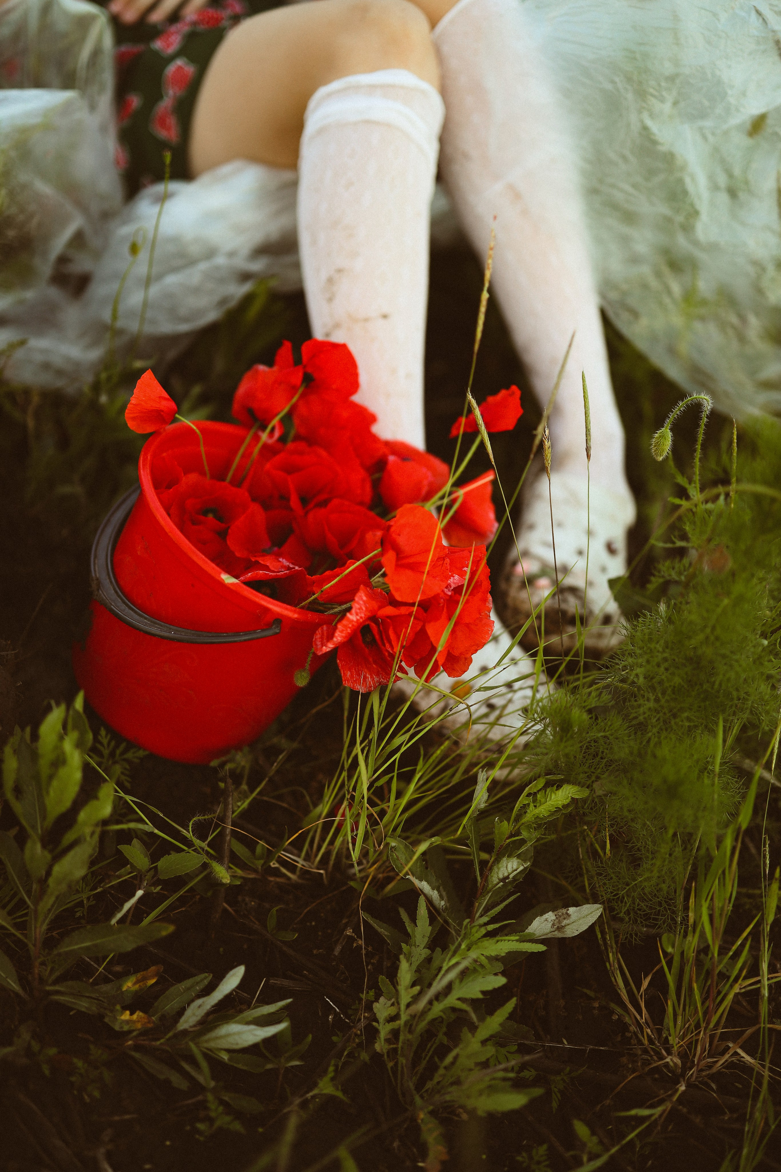 Фотосессия девочек в поле маков. Свадебный и семейный фотограф в Абхазии Жанна Соснина