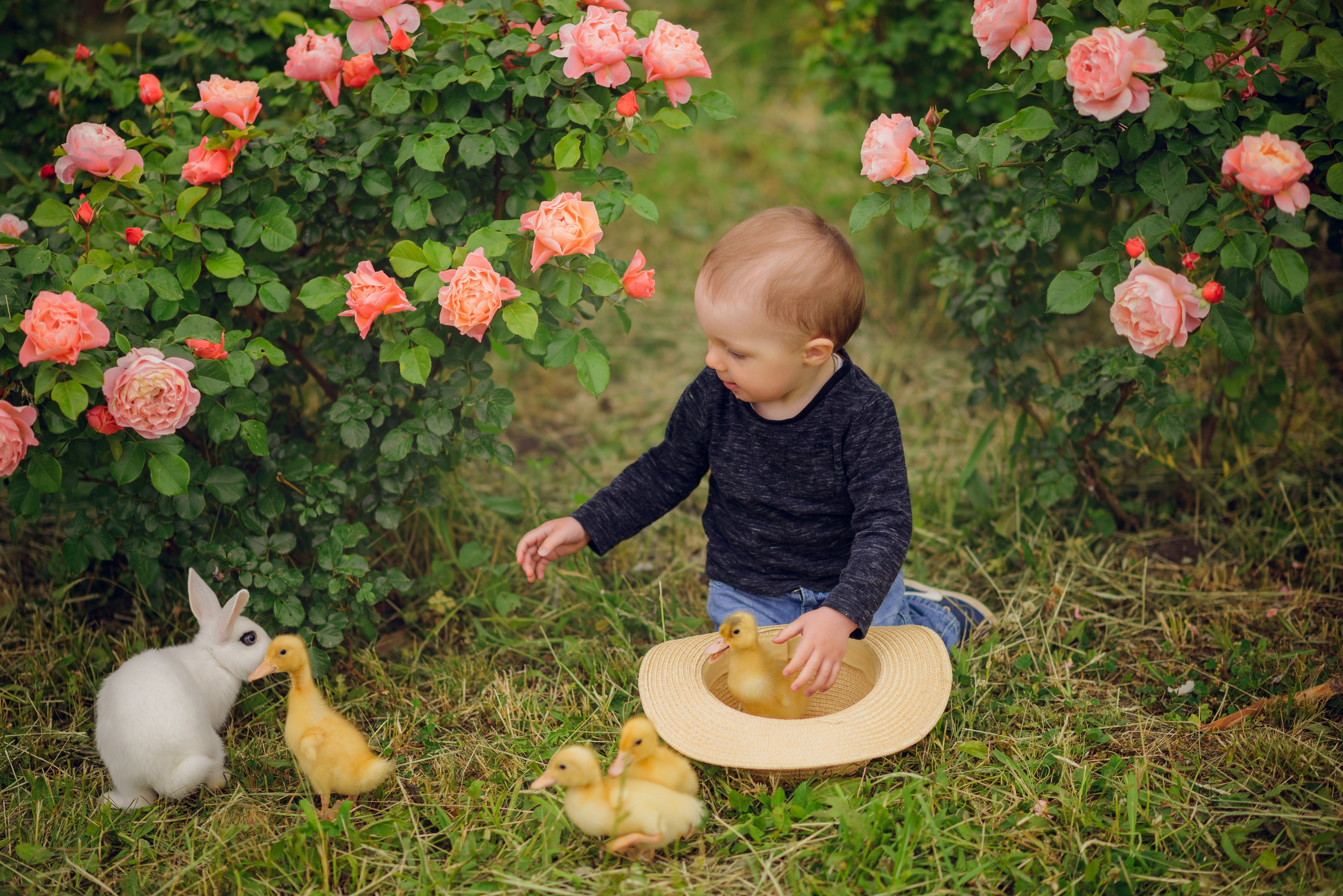 В розах. Семейный фотограф в Краснодаре