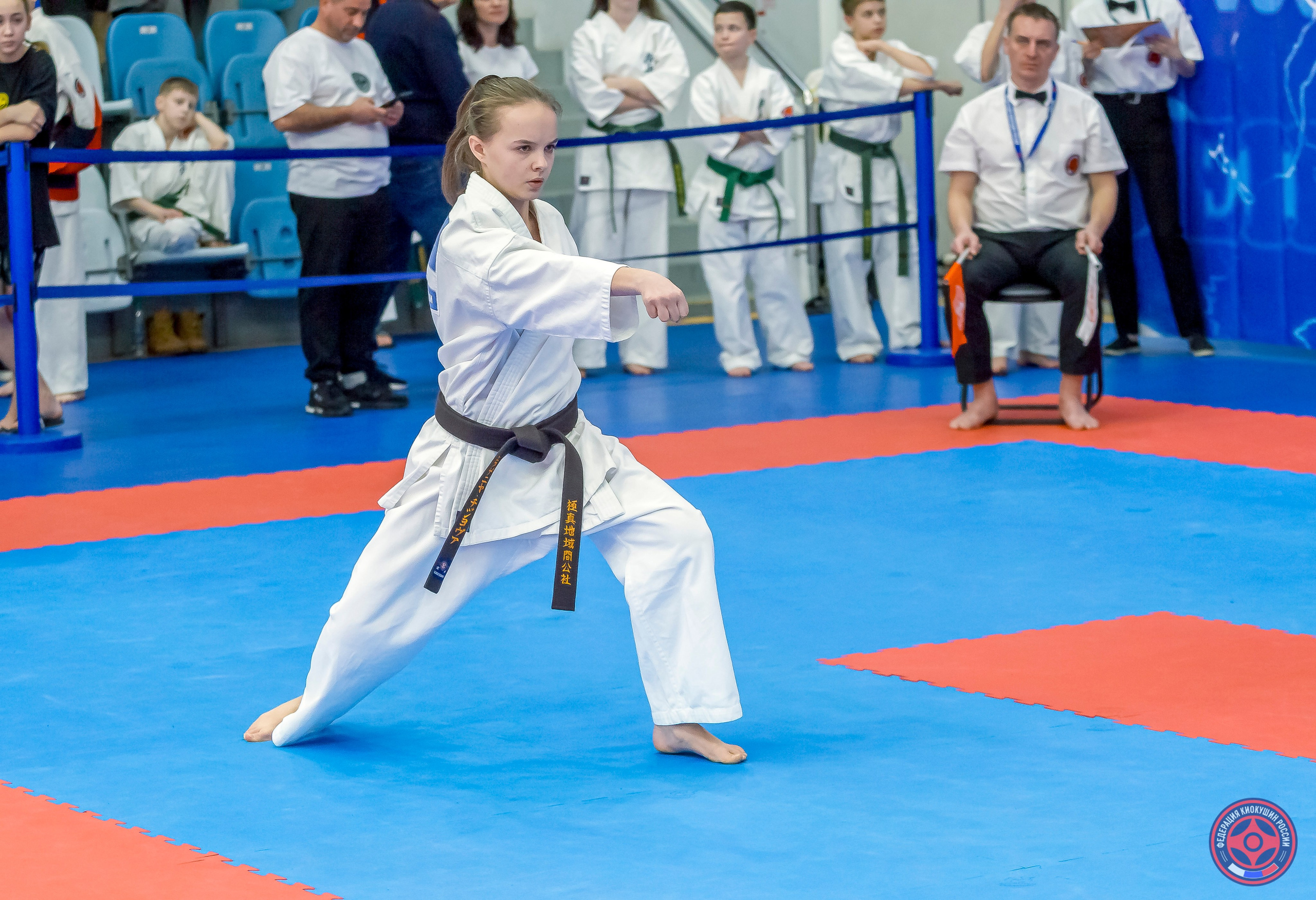 Международный турнир по киокушин «Открытый кубок Seiken». Репортажная съемка в Москве и области. Анималистика