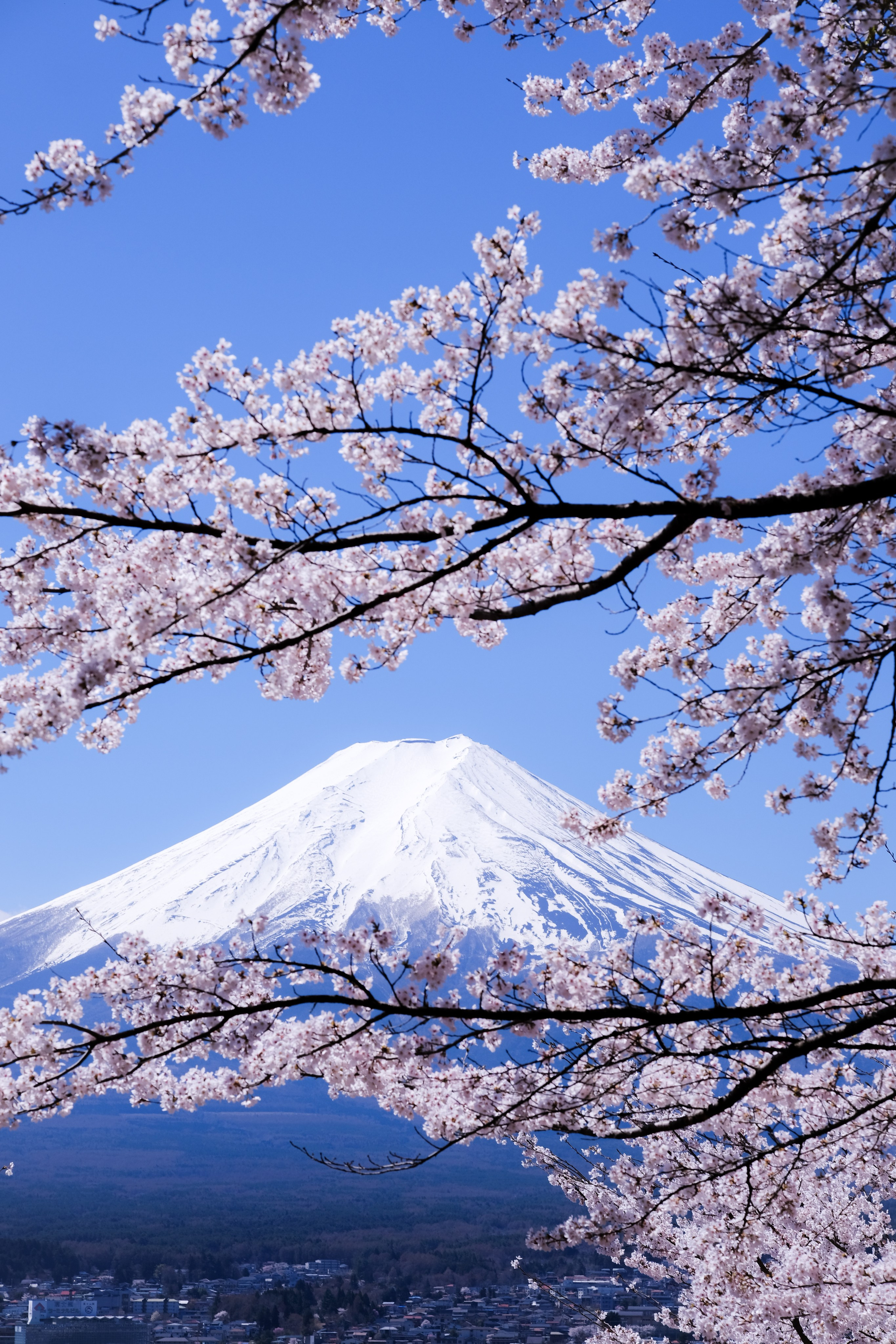 Nippon. Главная